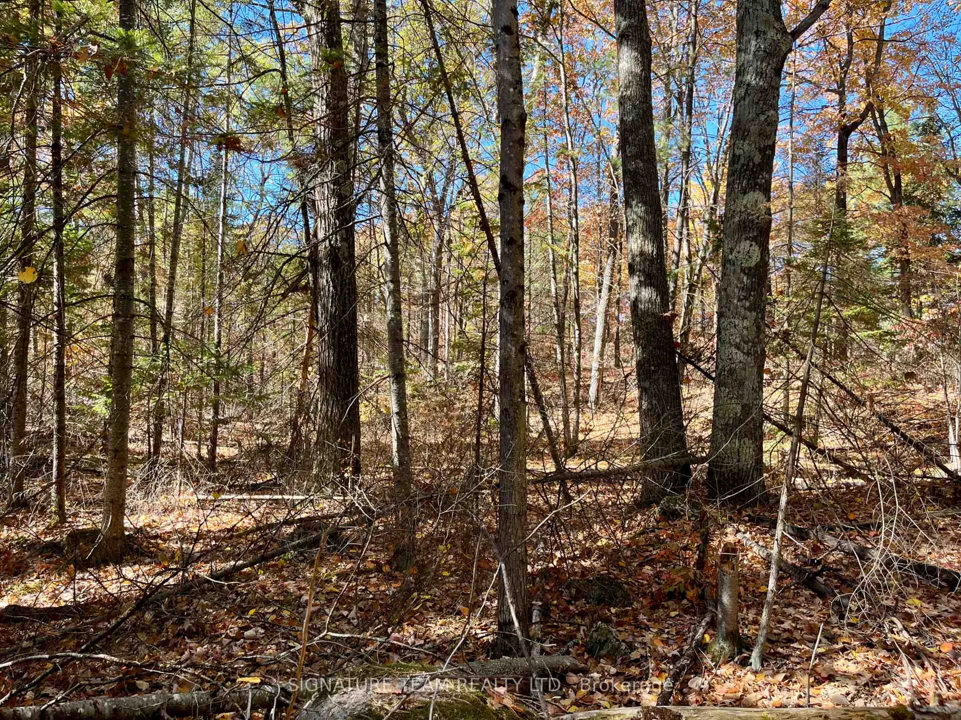 Photo 9 of Foymount Road, Bonnechere Valley, Eganville/Bonnechere Twp — HOMEH