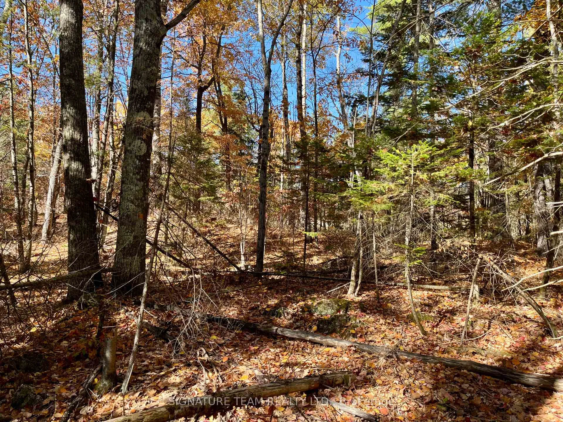 Photo 10 of Foymount Road, Bonnechere Valley, Eganville/Bonnechere Twp — HOMEH