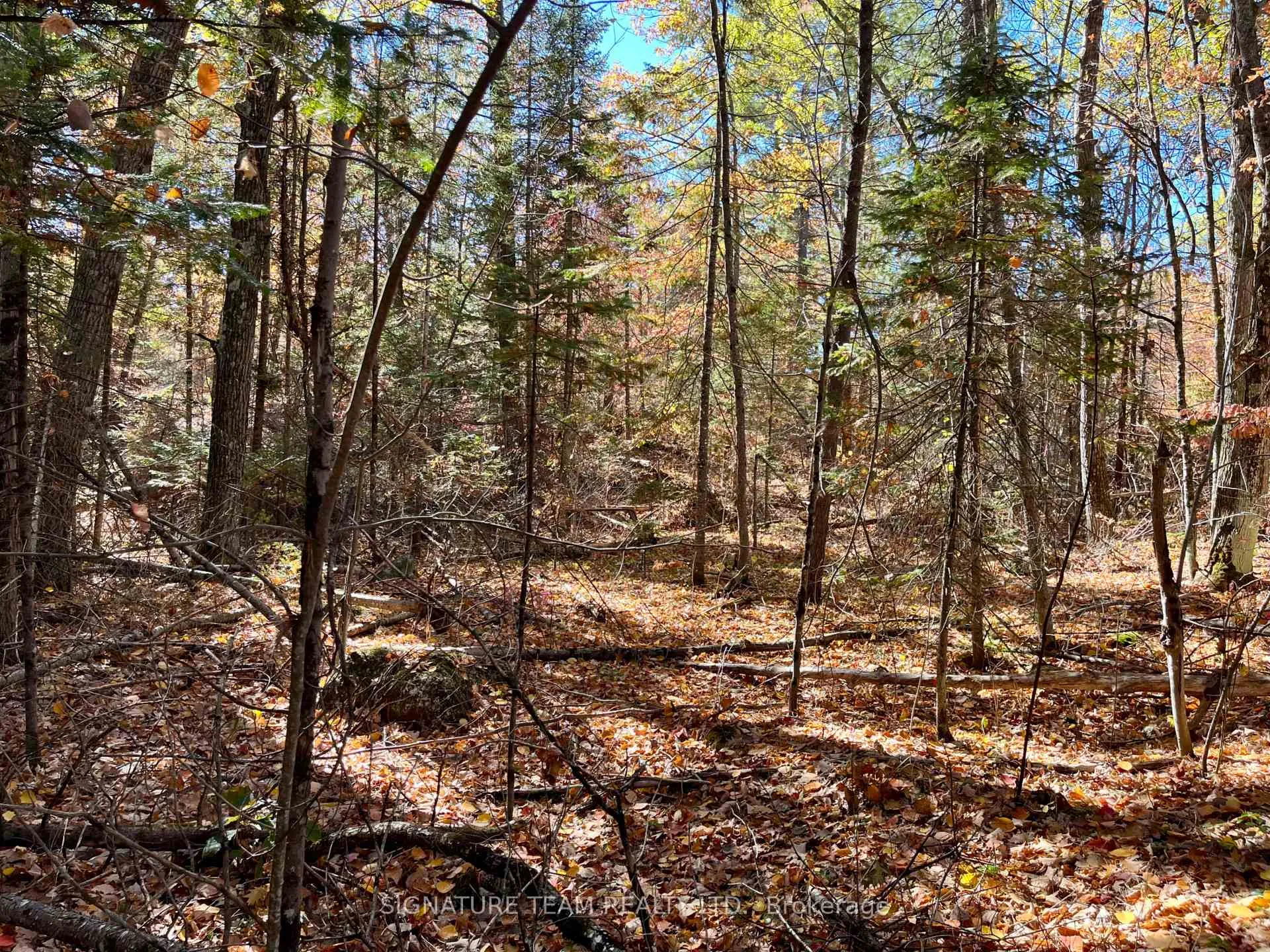 Photo 11 of Foymount Road, Bonnechere Valley, Eganville/Bonnechere Twp — HOMEH