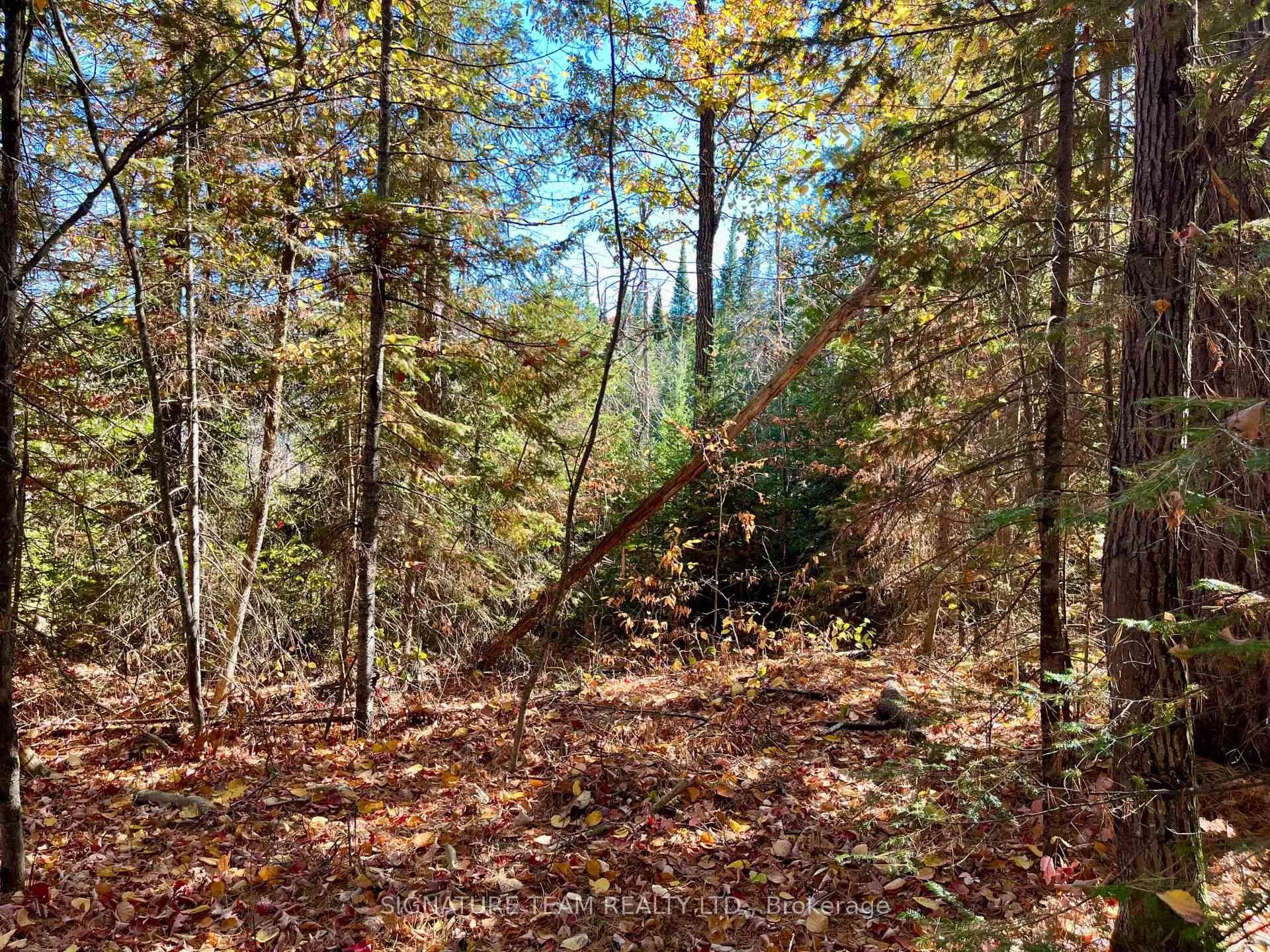 Photo 12 of Foymount Road, Bonnechere Valley, Eganville/Bonnechere Twp — HOMEH