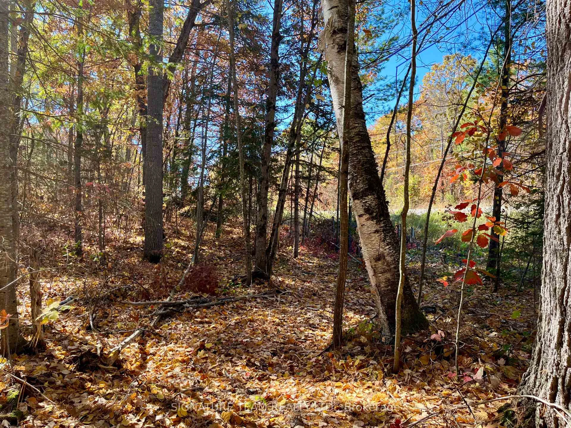 Photo 13 of Foymount Road, Bonnechere Valley, Eganville/Bonnechere Twp — HOMEH