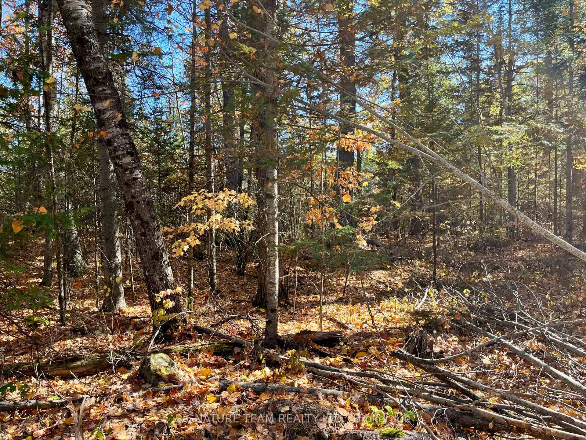 Photo 14 of Foymount Road, Bonnechere Valley, Eganville/Bonnechere Twp — HOMEH
