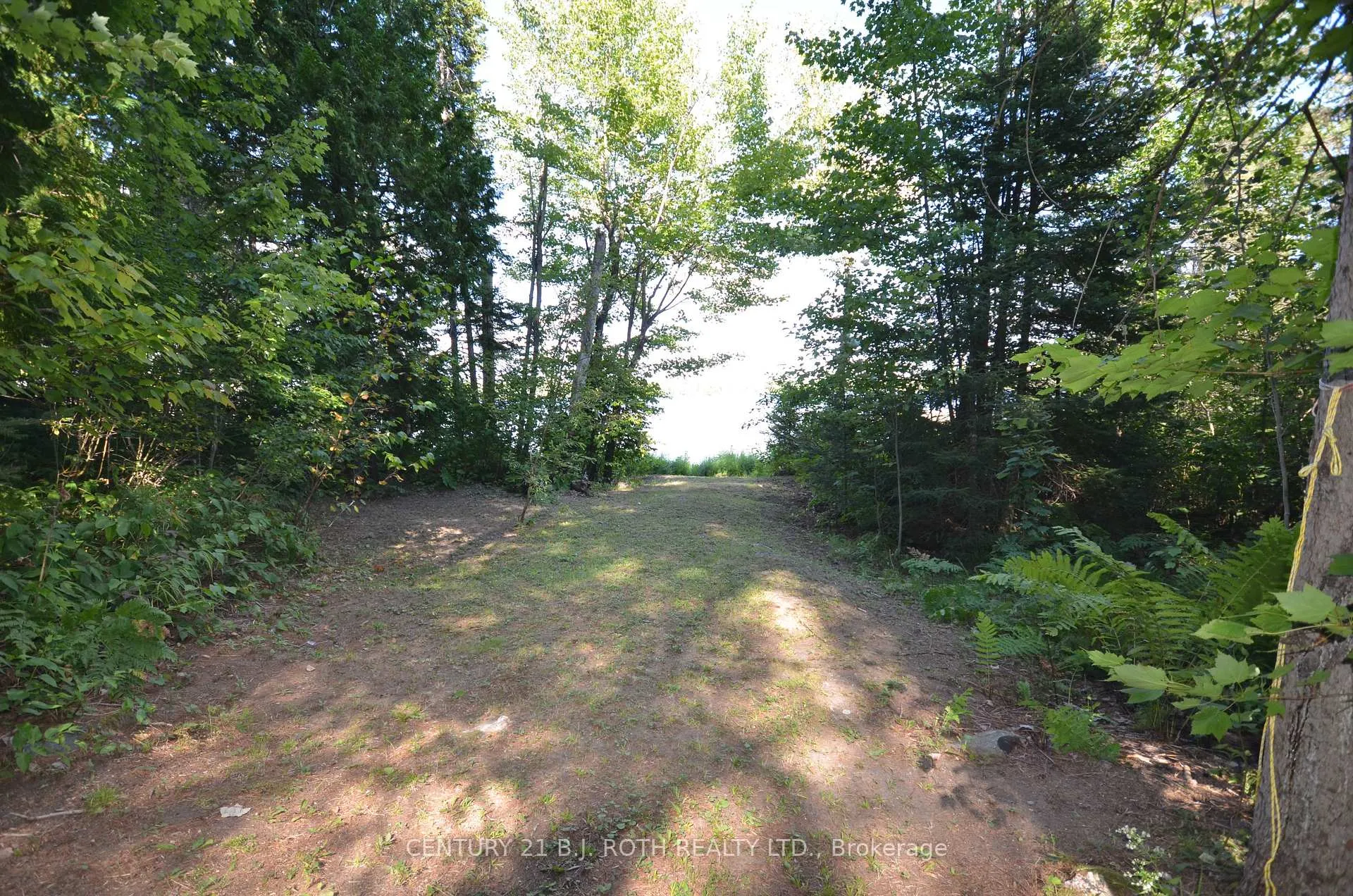 Photo 17 of 45 Lionel Road, West Nipissing, River Valley — HOMEH