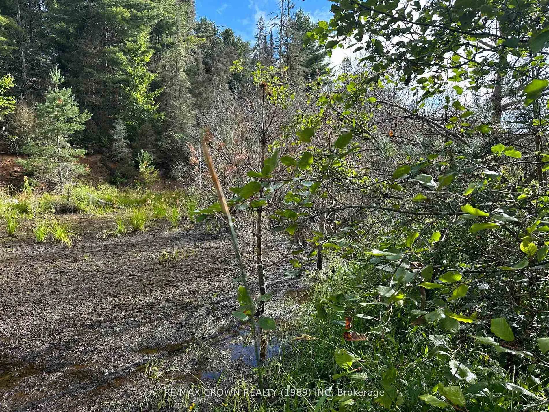 Photo 21 of 212 Weiler Line, Powassan — HOMEH