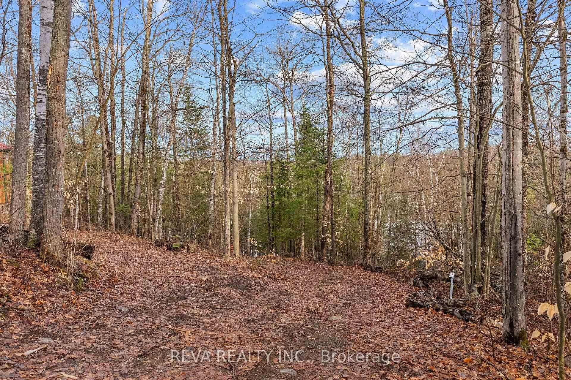 Photo 18 of 115 West Mullet Lake Drive, Faraday — HOMEH