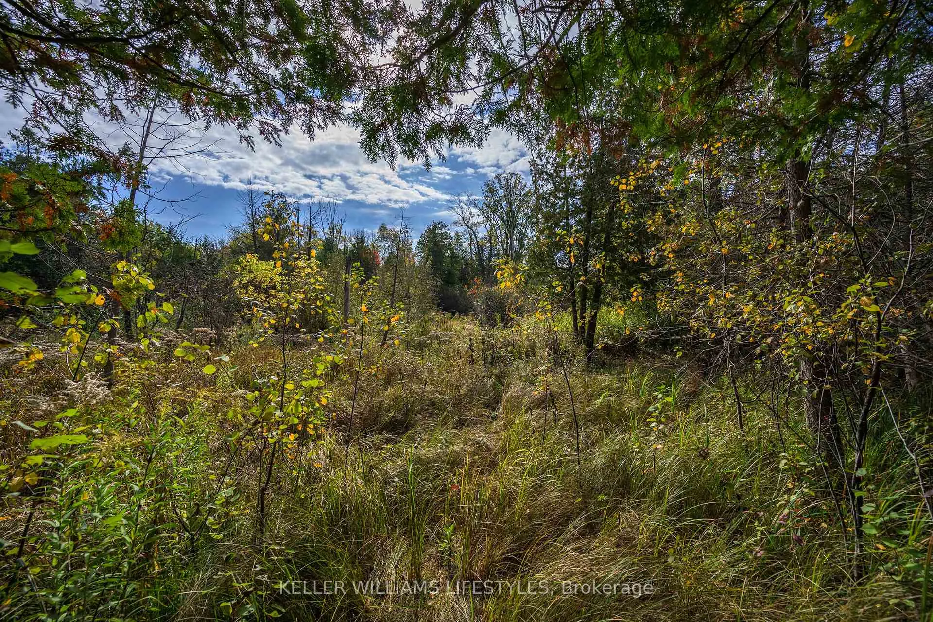 Photo 4 of 15083 Medway Road, Middlesex Centre, Rural Middlesex Centre — HOMEH