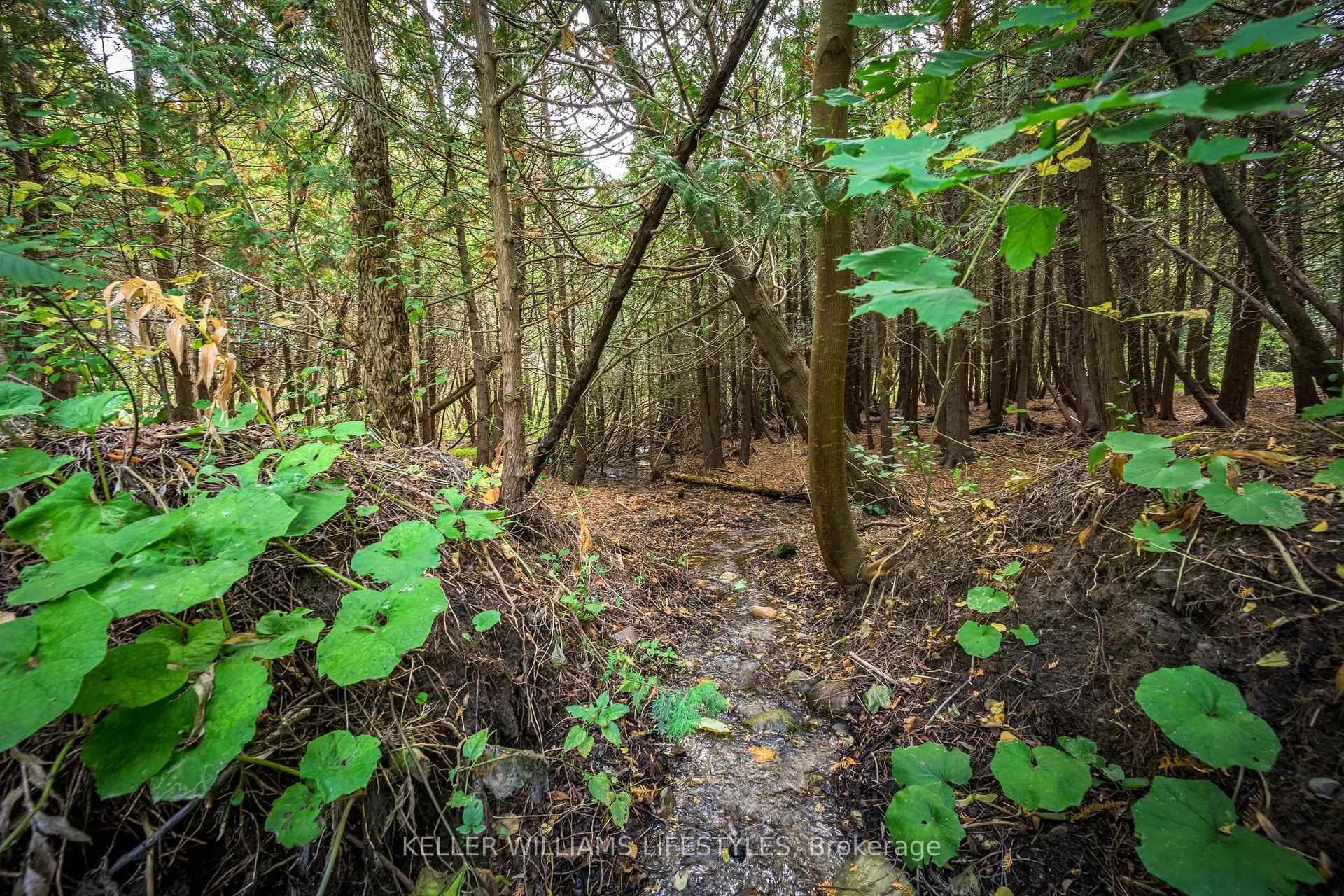 Photo 40 of 15083 Medway Road, Middlesex Centre, Rural Middlesex Centre — HOMEH