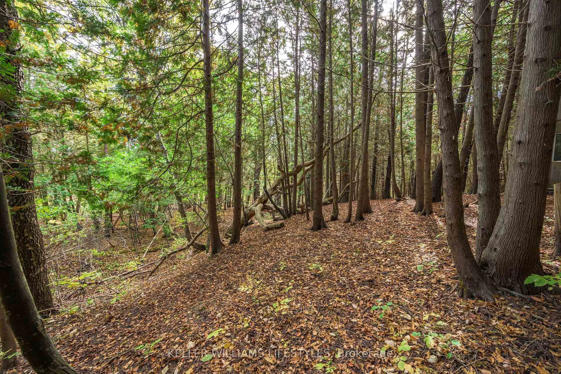 Photo 41 of 15083 Medway Road, Middlesex Centre, Rural Middlesex Centre — HOMEH