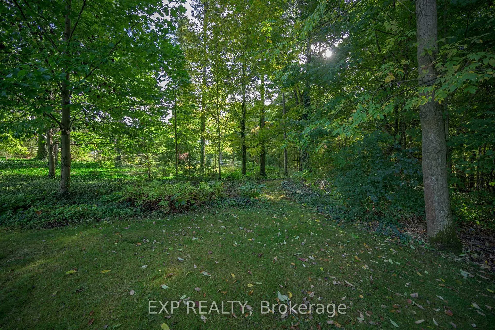 Photo 7 of 526 Talbot Road, Norfolk, Rural Middleton — HOMEH