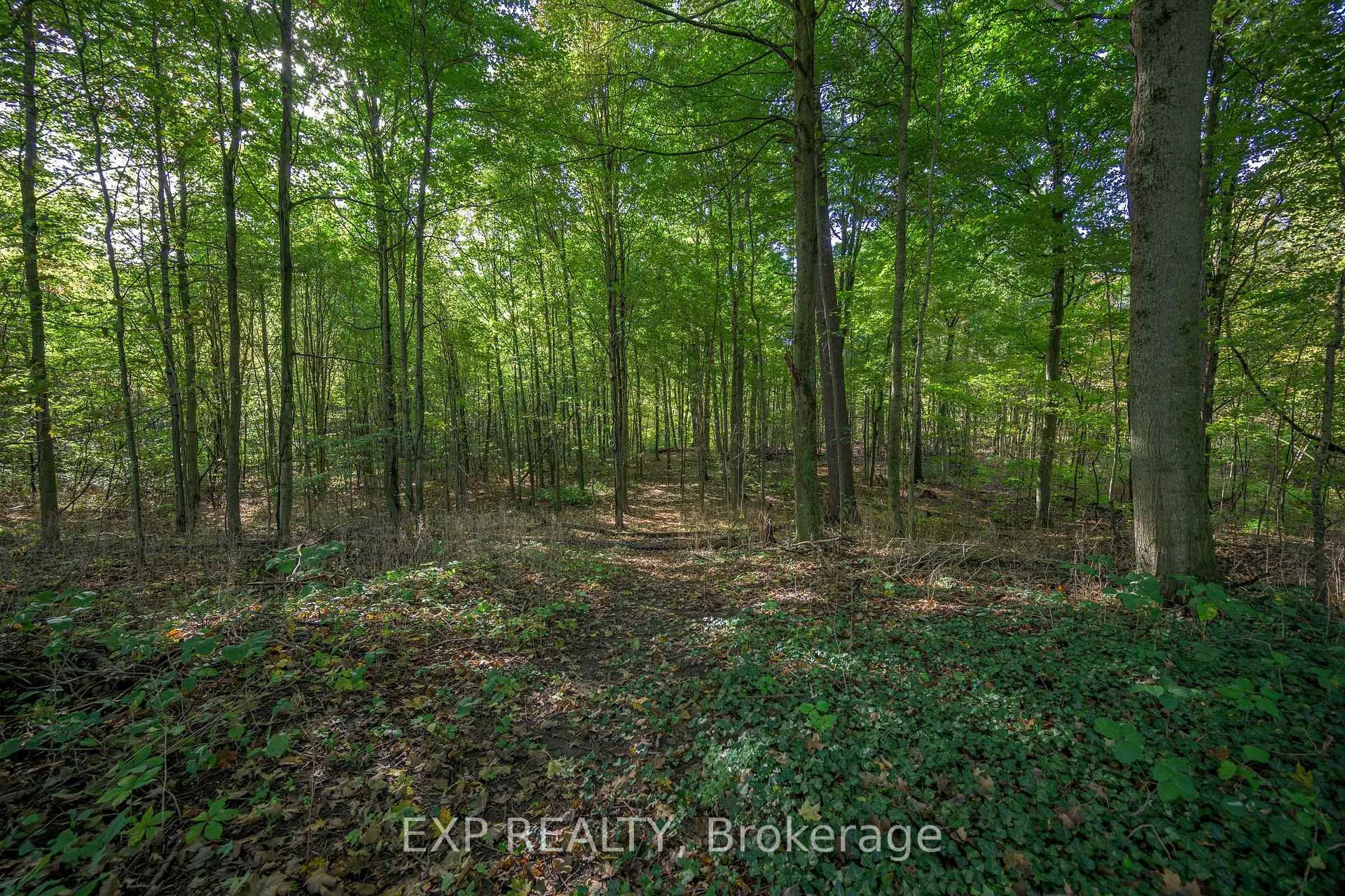 Photo 8 of 526 Talbot Road, Norfolk, Rural Middleton — HOMEH