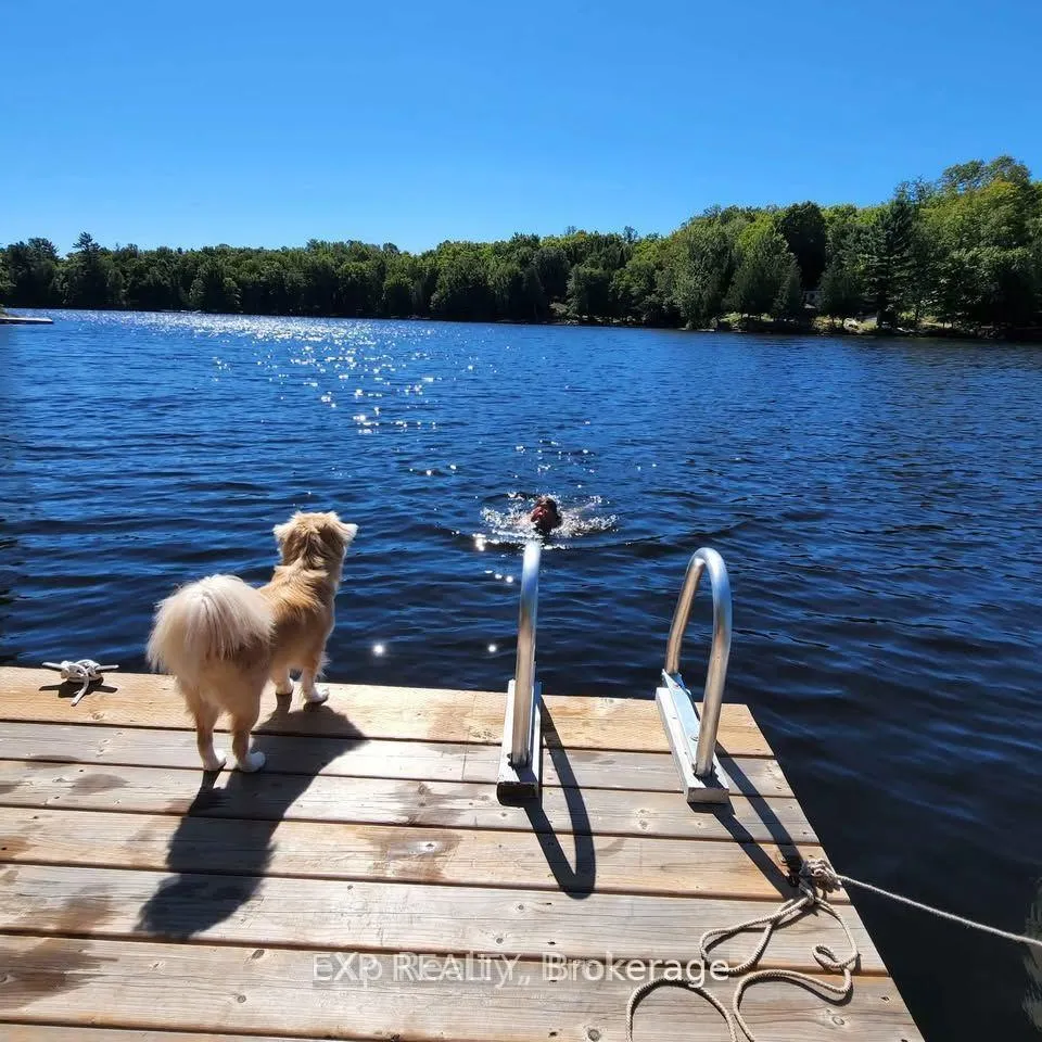 Photo 3 of 9 North Poverty Bay Road, Magnetawan, Ahmic Harbour — HOMEH