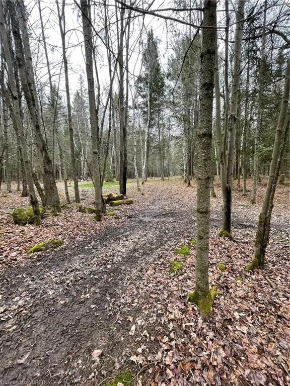 Photo 49 of 64 Astorville Road, East Ferris — HOMEH