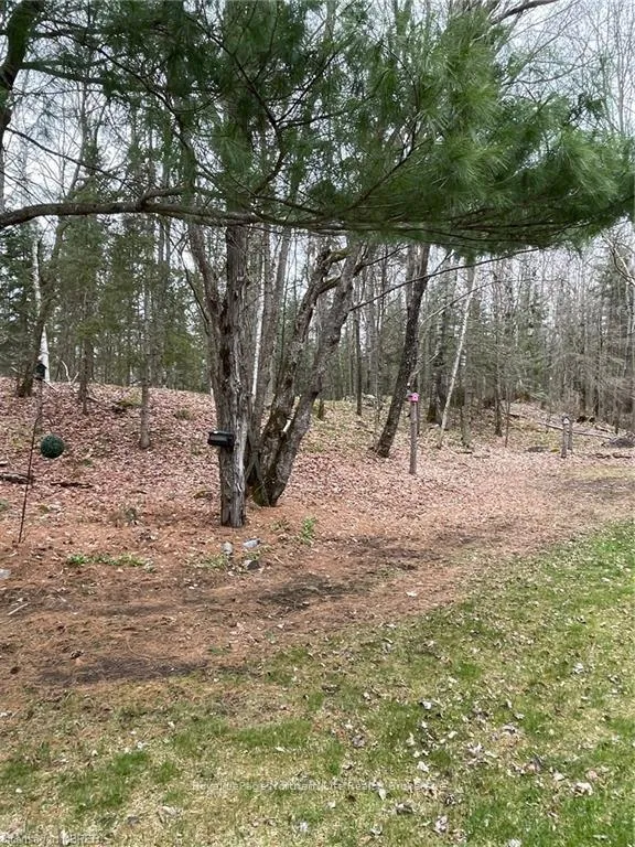 Photo 50 of 64 Astorville Road, East Ferris — HOMEH