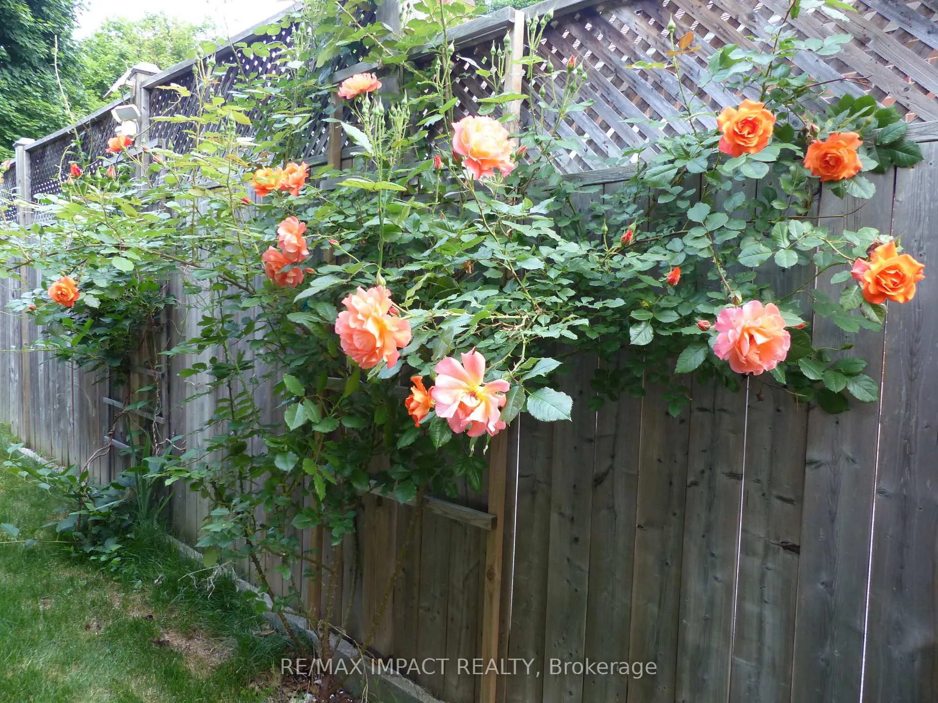 Photo 33 of 620 Christie Avenue, Oshawa, O'Neill — HOMEH