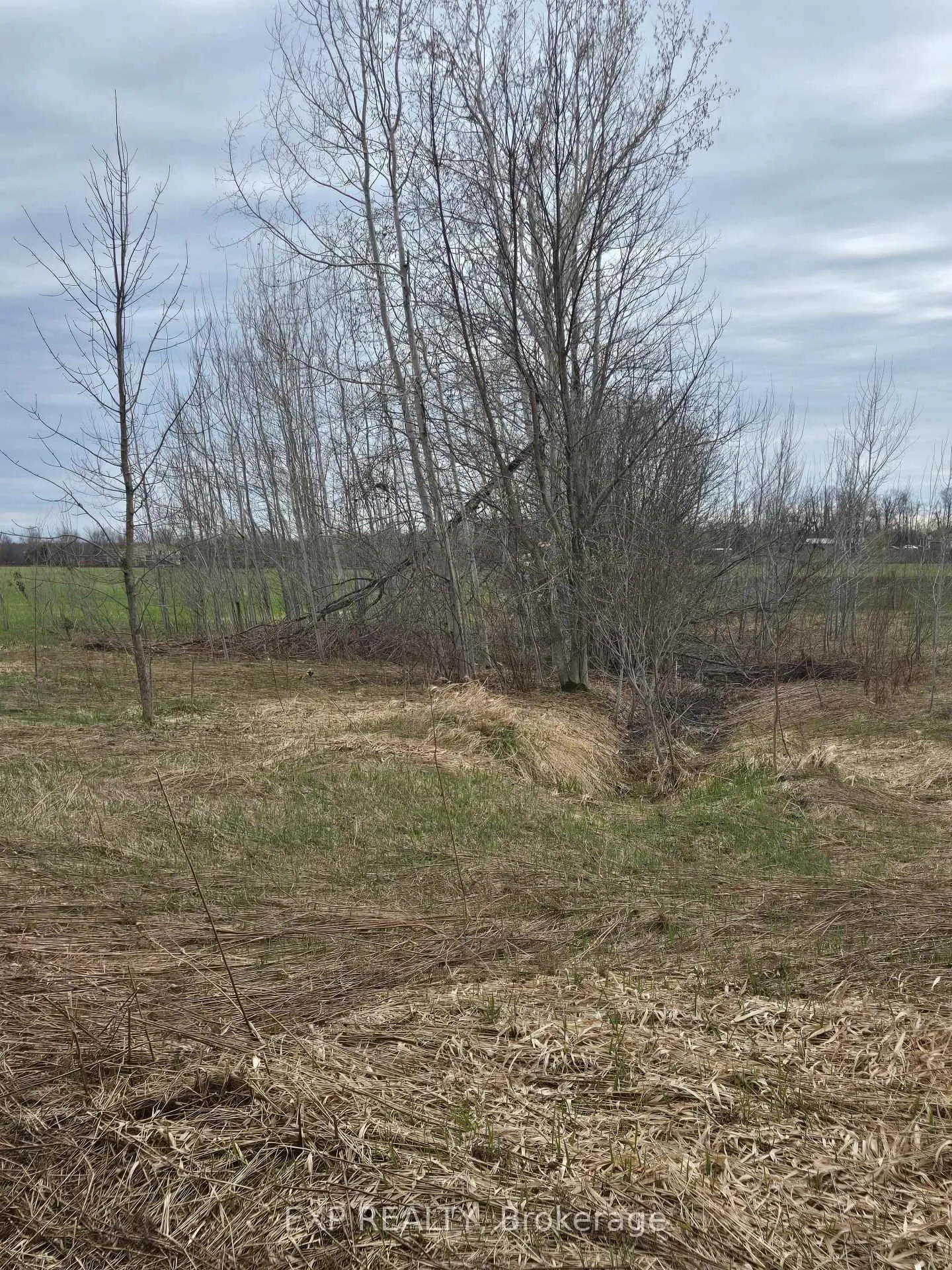 Photo 10 of 5496 Fairvalley Road, Ramara, Ramara, Rural Ramara — HOMEH