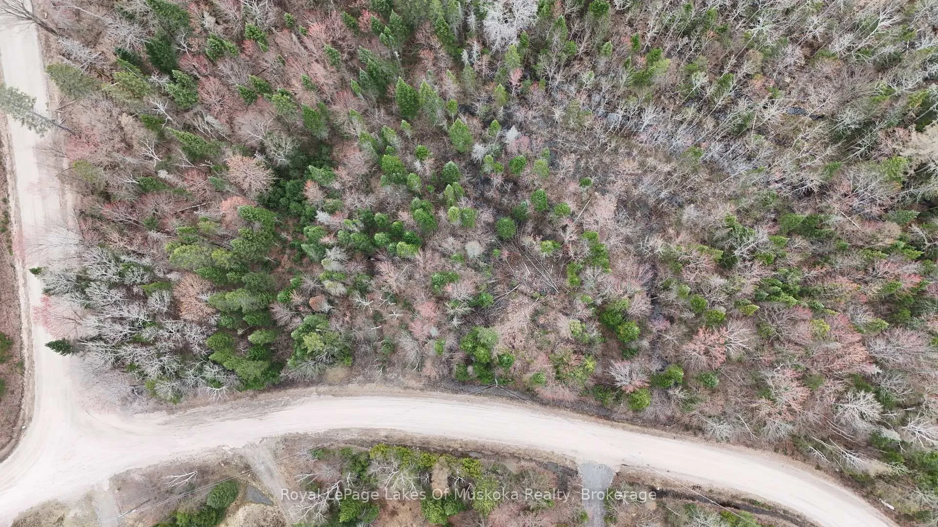 Photo 3 of Buckvale Drive, McMurrich/Monteith, McMurrich — HOMEH