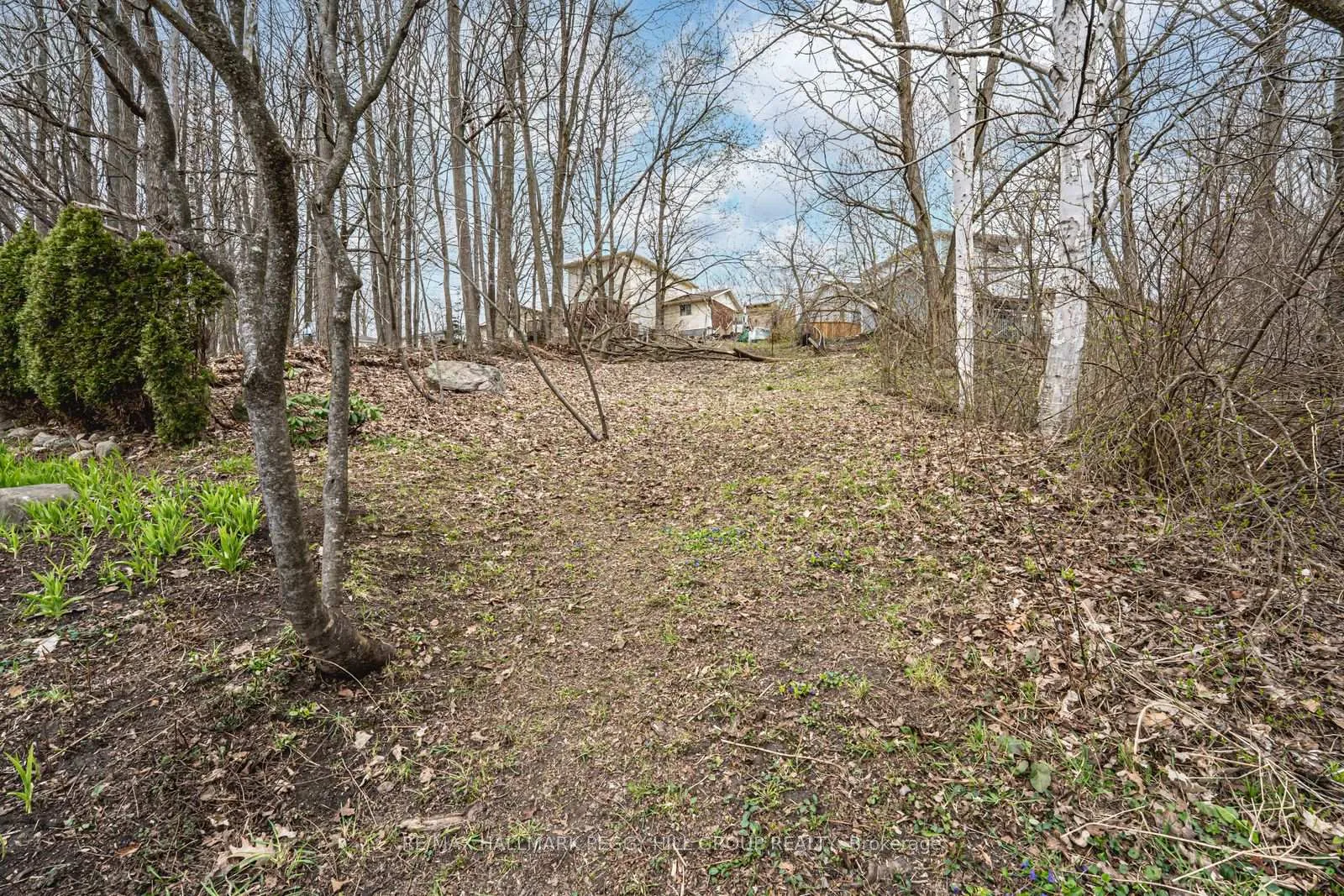 Photo 18 of 821 Birchwood Drive, Midland — HOMEH
