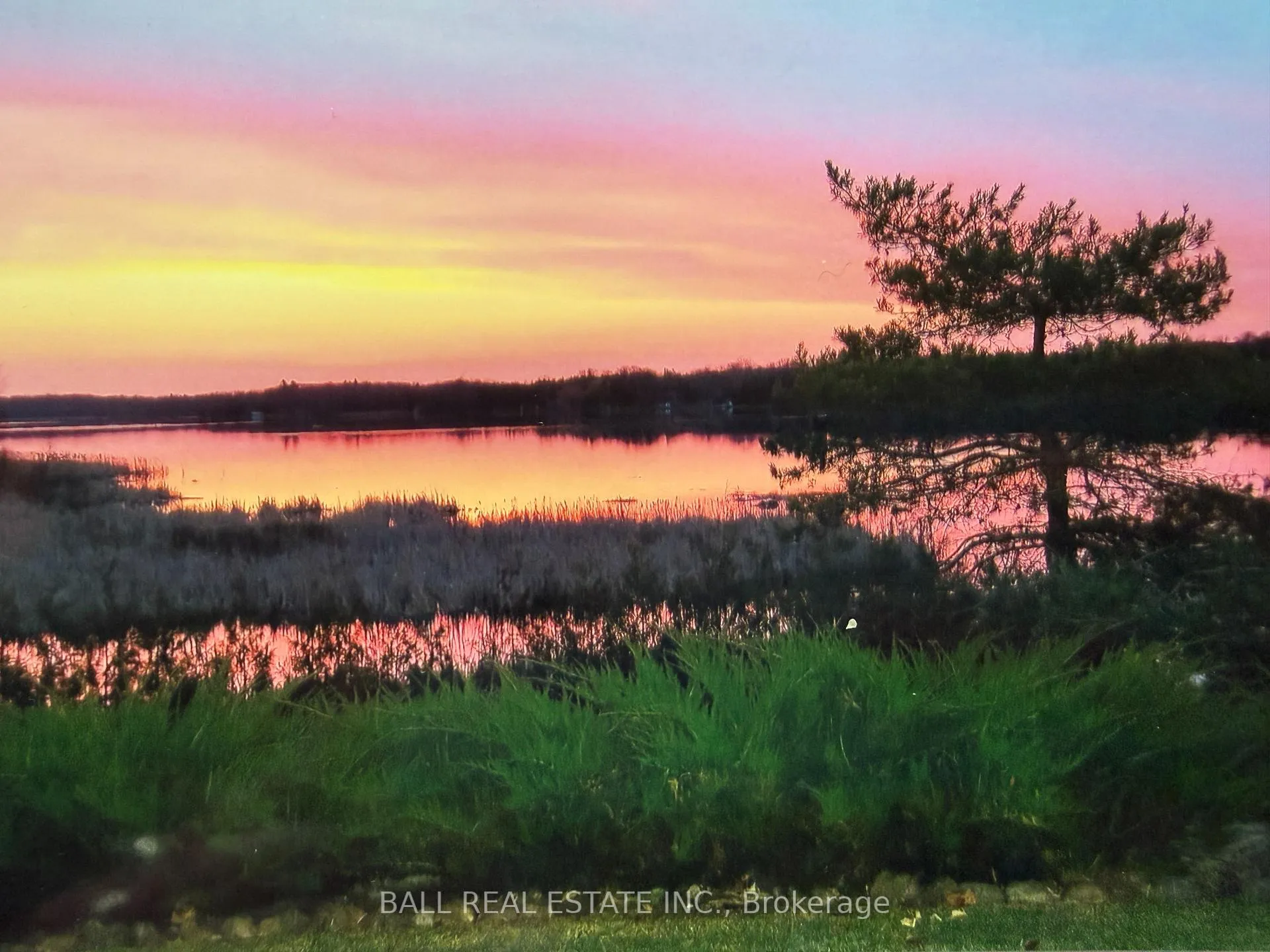 Photo 7 of 1725 Young's Point Road, Selwyn — HOMEH