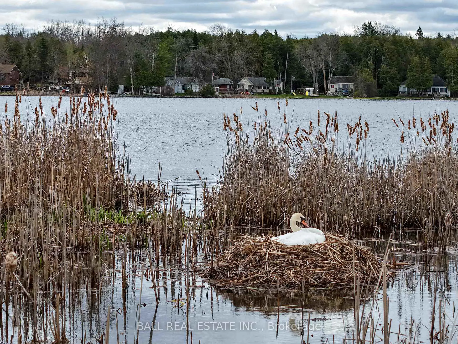 Photo 10 of 1725 Young's Point Road, Selwyn — HOMEH