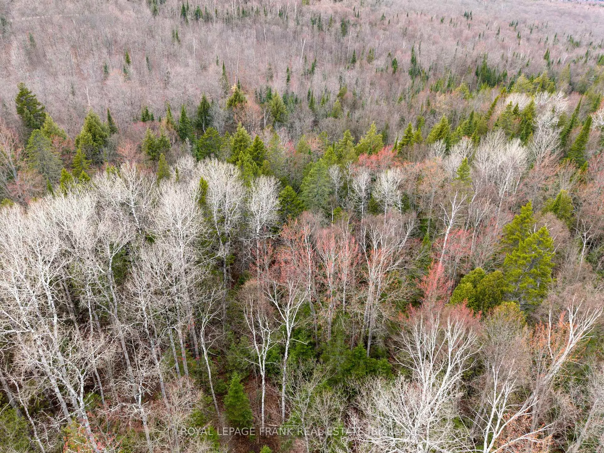 Photo 3 of 841 Mckenzie Lk Road, South Algonquin — HOMEH