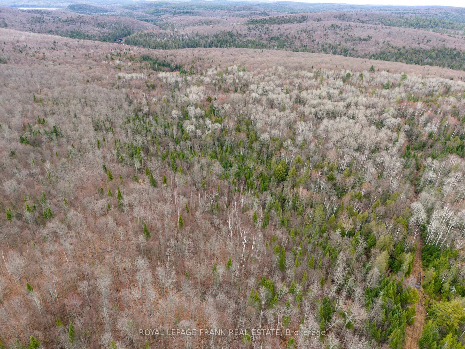 Photo 10 of 841 Mckenzie Lk Road, South Algonquin — HOMEH