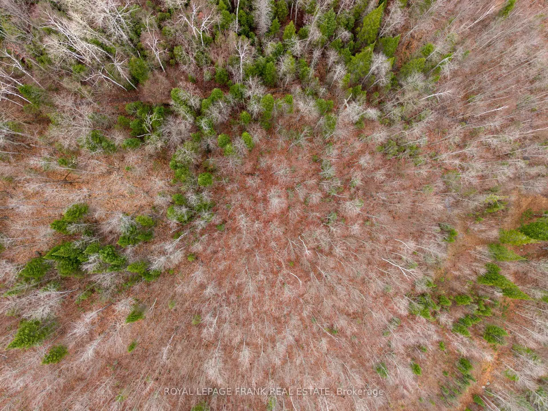 Photo 11 of 841 Mckenzie Lk Road, South Algonquin — HOMEH