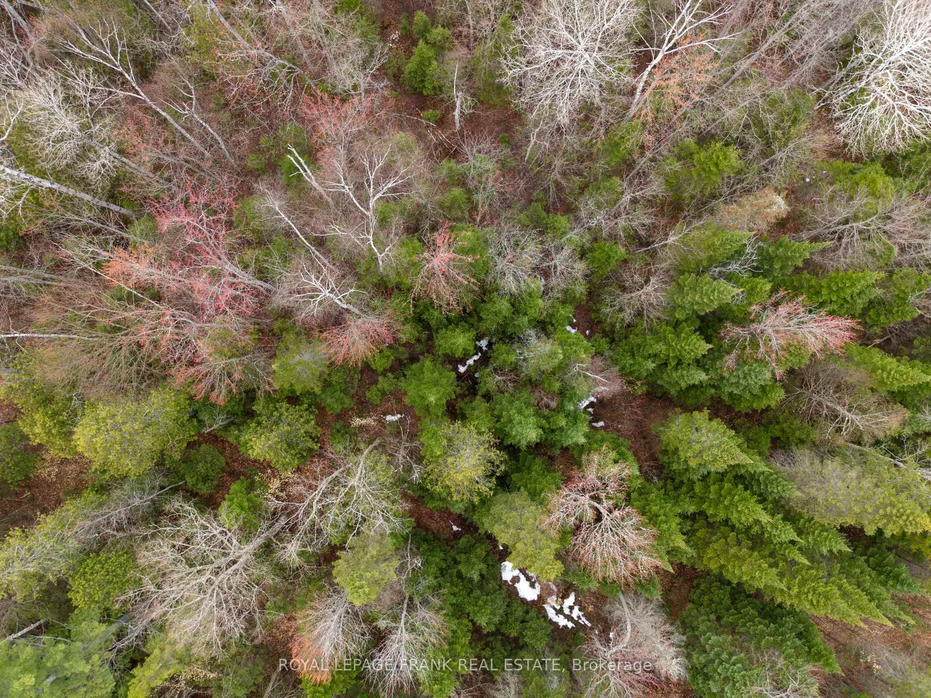 Photo 12 of 841 Mckenzie Lk Road, South Algonquin — HOMEH