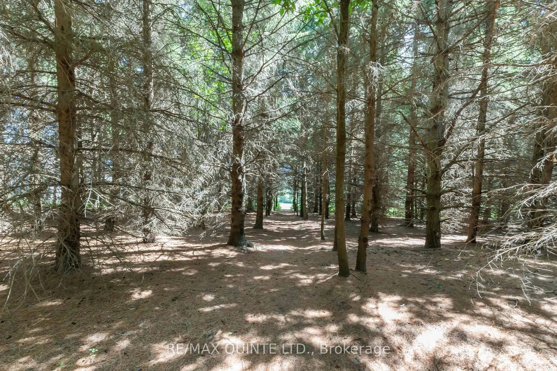 Photo 22 of 839 County Road 64, Brighton, Rural Brighton — HOMEH