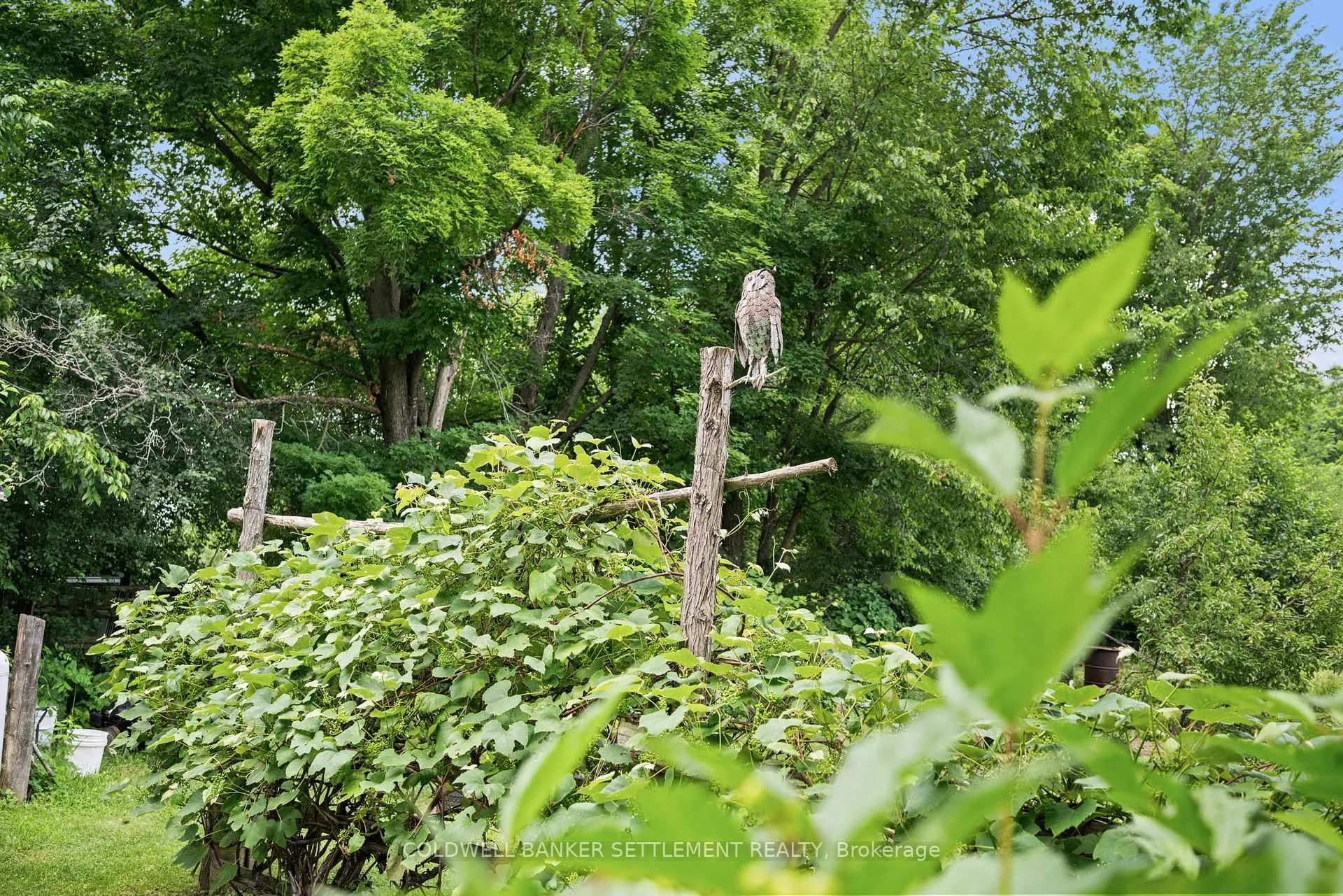Photo 17 of 394 Elliott Road, Tay Valley, Bathurst/Burgess & Sherbrooke (Bathurst) Twp — HOMEH
