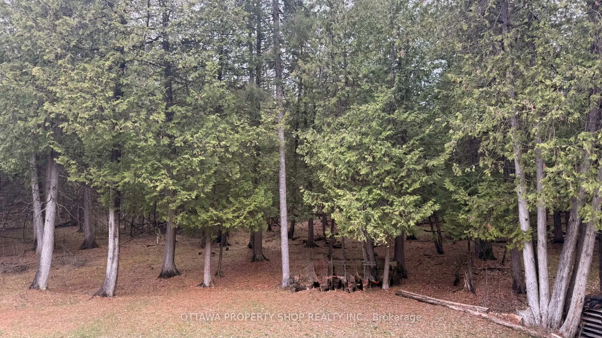 Photo 22 of 927 Spruce Ridge Road, Ottawa, Huntley Ward (South West) — HOMEH