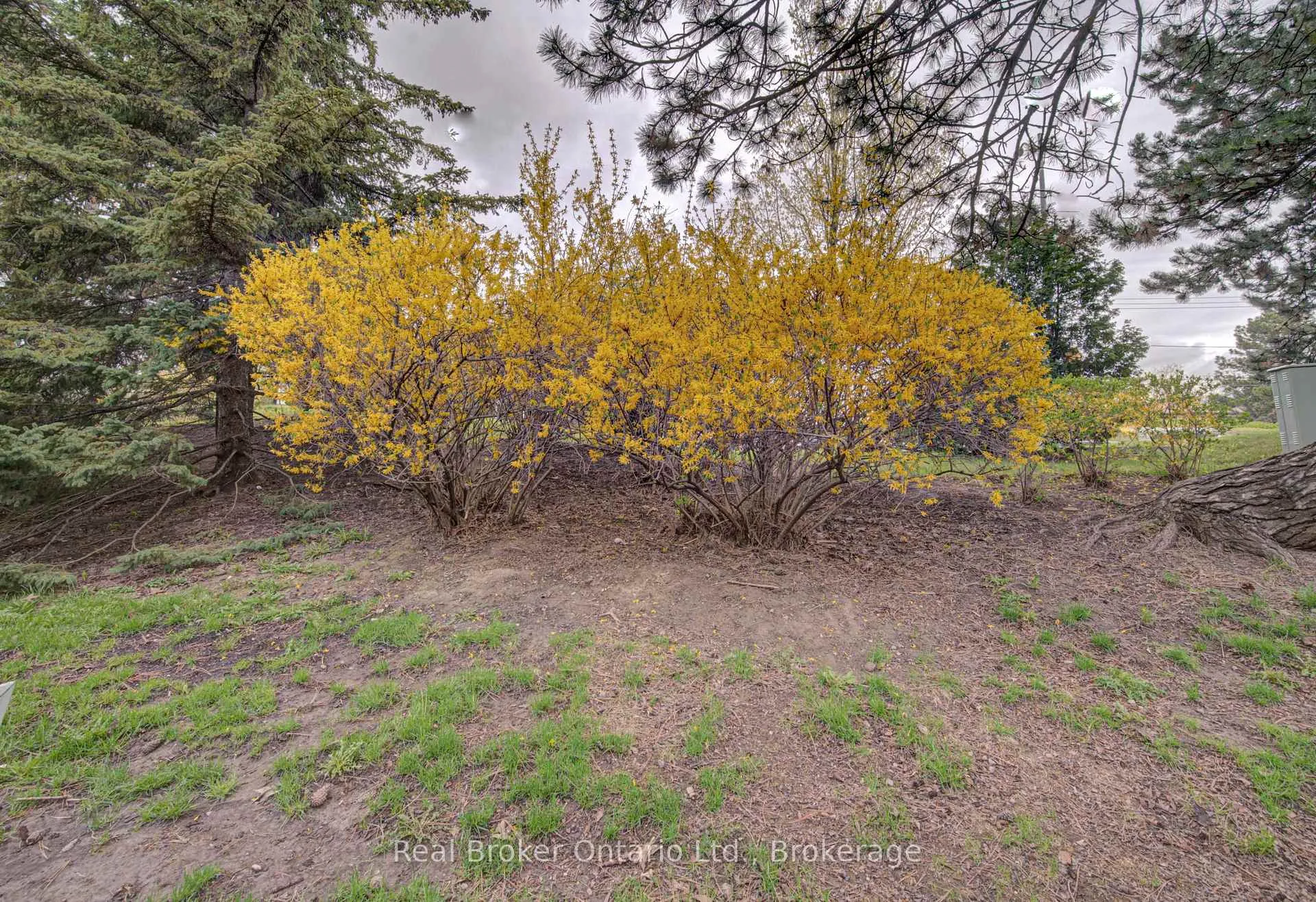 Photo 45 of Unit 3, 1302 Guelph Line, Burlington, Mountainside — HOMEH