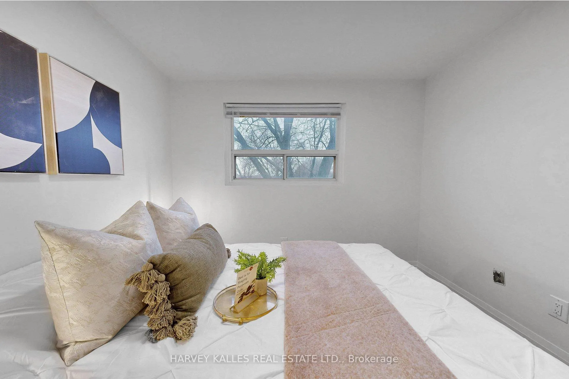 Photo 37 of 29 Glenmore Crescent, Brampton, Northgate — HOMEH