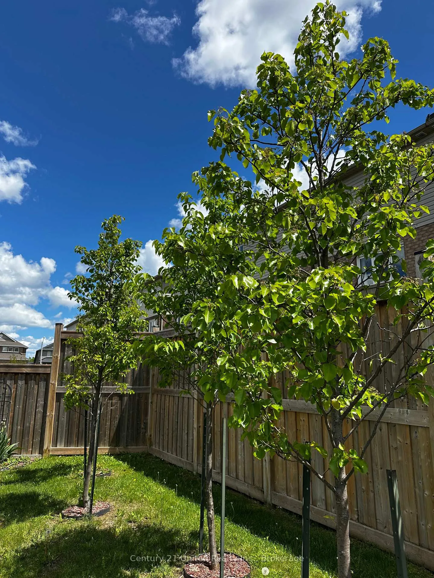 Photo 36 of 14 Summer Lane, Peterborough, Northcrest Ward 5 — HOMEH