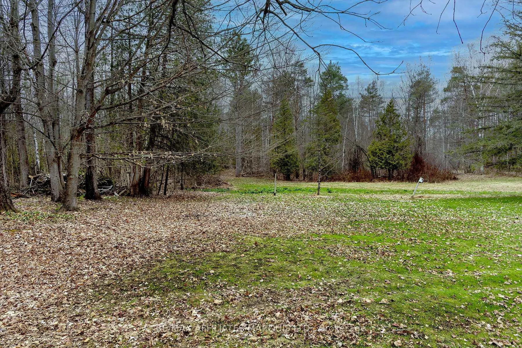 Photo 9 of 9098 County Rd 44, Edwardsburgh/Cardinal, Edwardsburgh/Cardinal Twp — HOMEH
