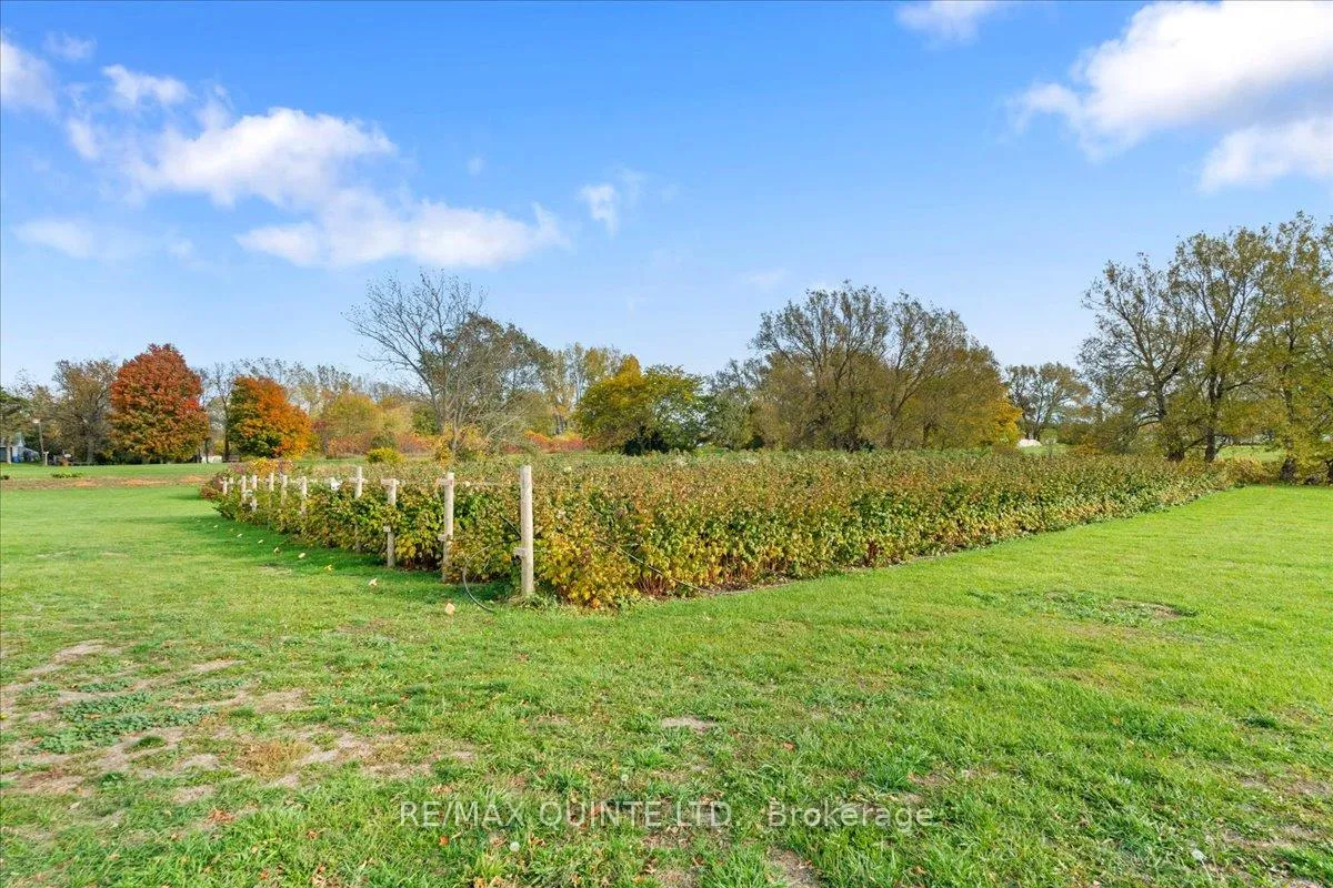 Photo 33 of 15775 Loyalist Parkway, Prince Edward County, Hallowell Ward — HOMEH