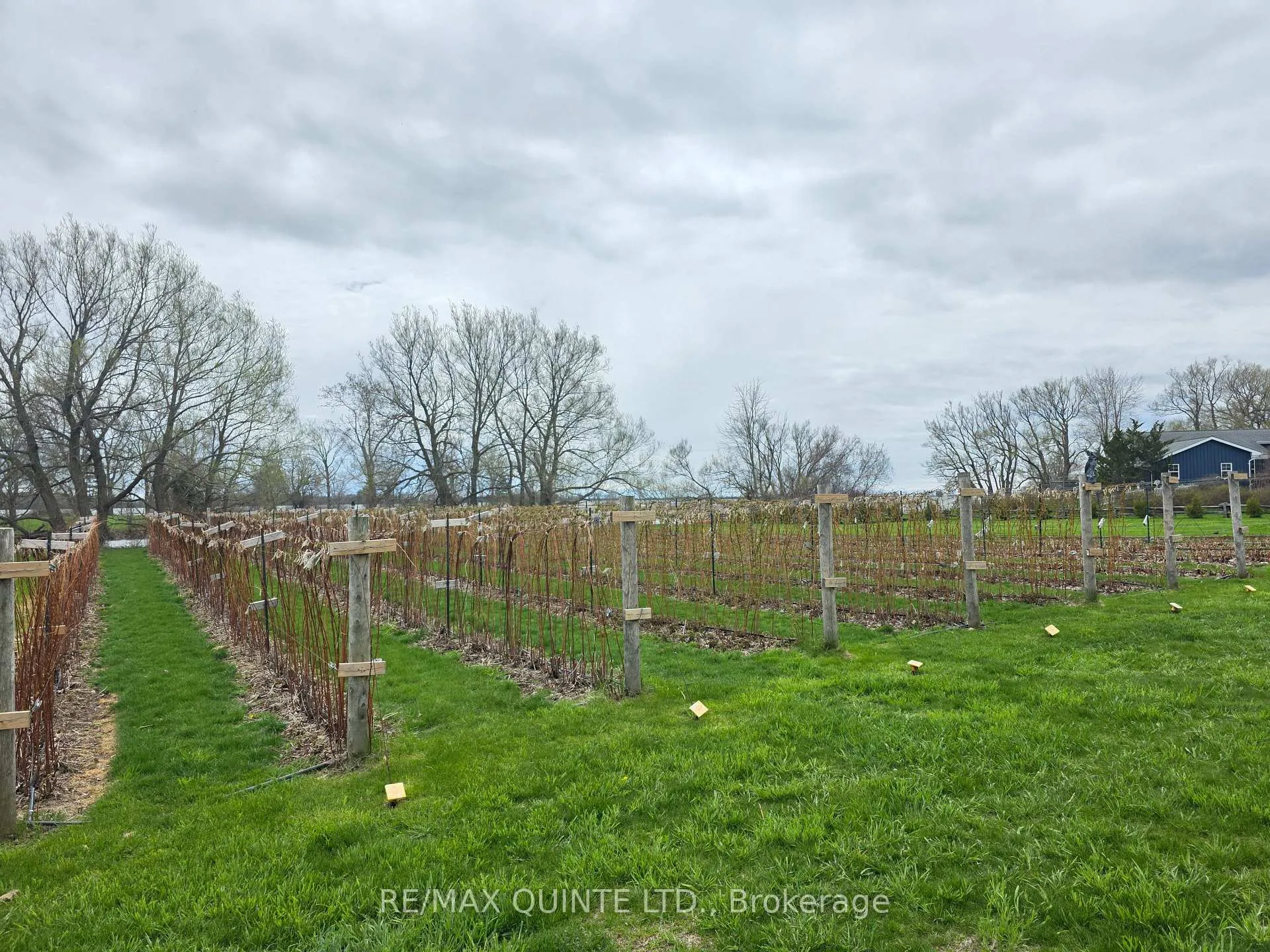 Photo 44 of 15775 Loyalist Parkway, Prince Edward County, Hallowell Ward — HOMEH