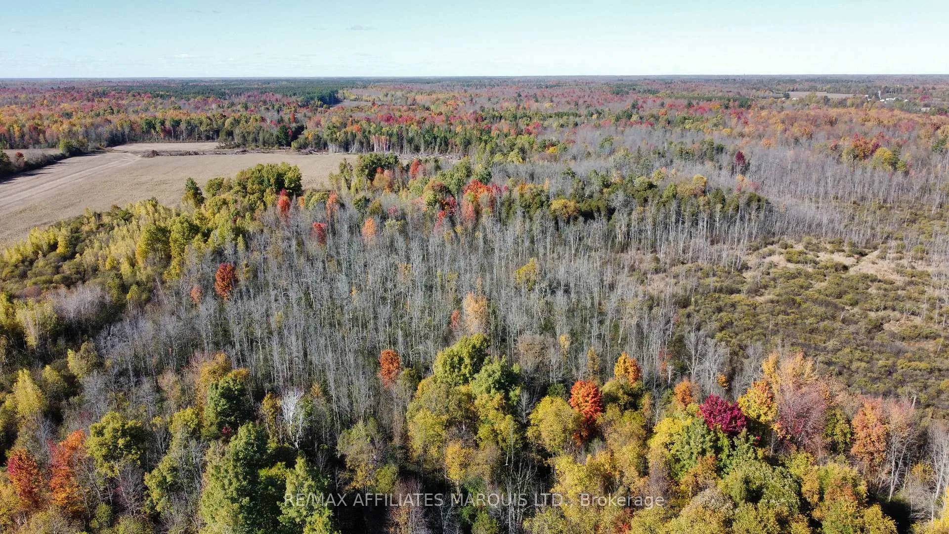 Photo 7 of Lot County Road 21, Augusta, Augusta Twp — HOMEH