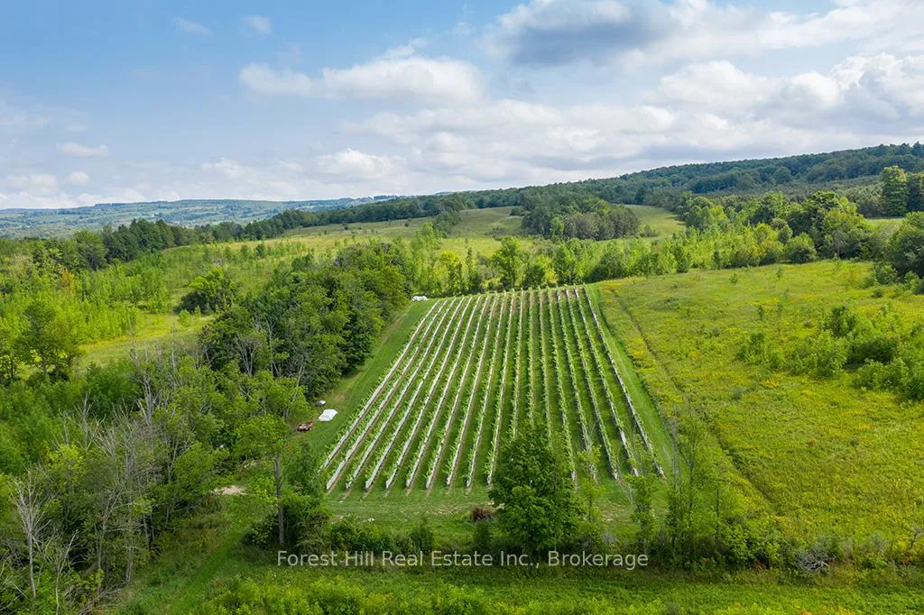 Photo 12 of 415763 10th Line, Blue Mountains — HOMEH
