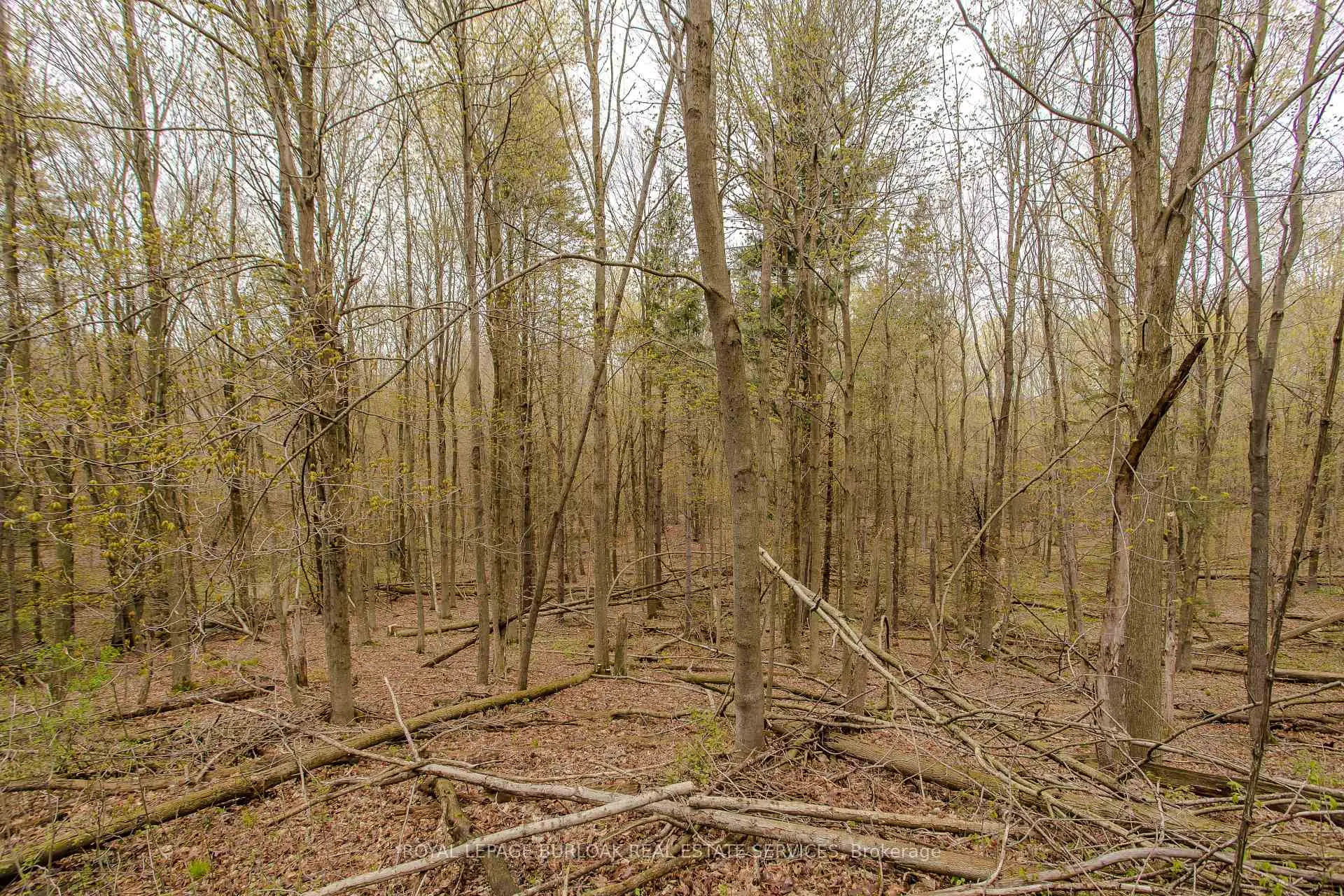 Photo 37 of 2431 Britannia Road, Burlington, Rural Burlington — HOMEH