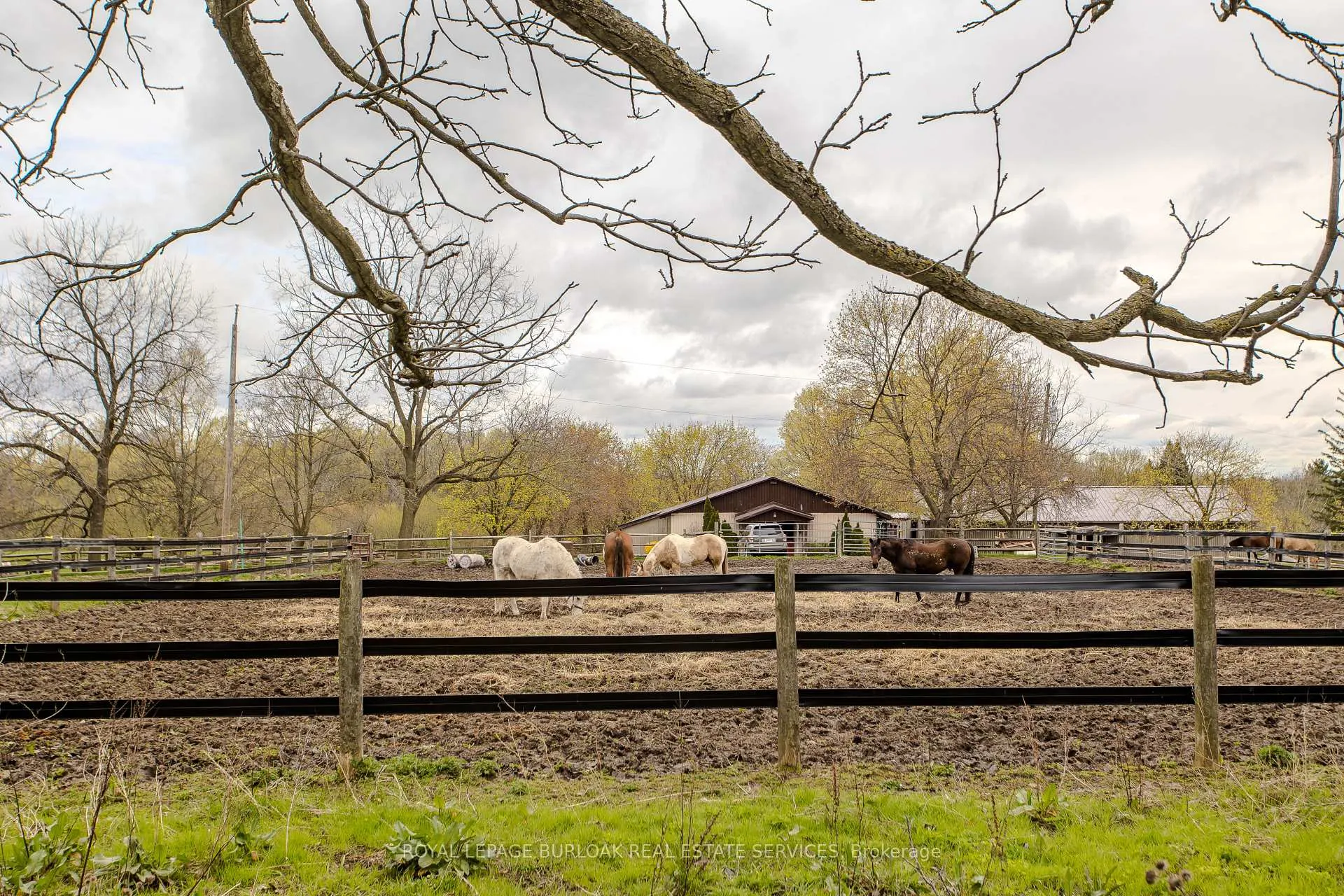Photo 39 of 2431 Britannia Road, Burlington, Rural Burlington — HOMEH