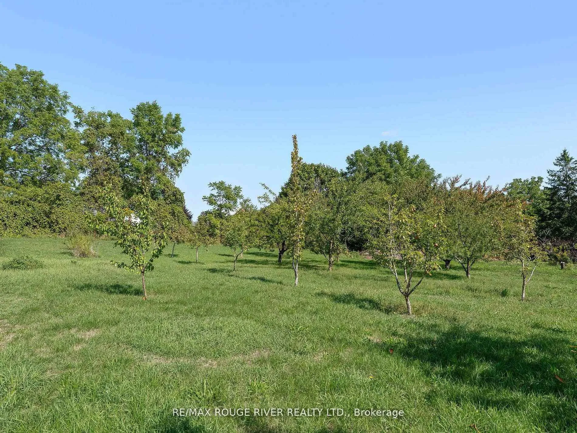 Photo 39 of 120 Spring Street, Alnwick/Haldimand, Rural Alnwick/Haldimand — HOMEH