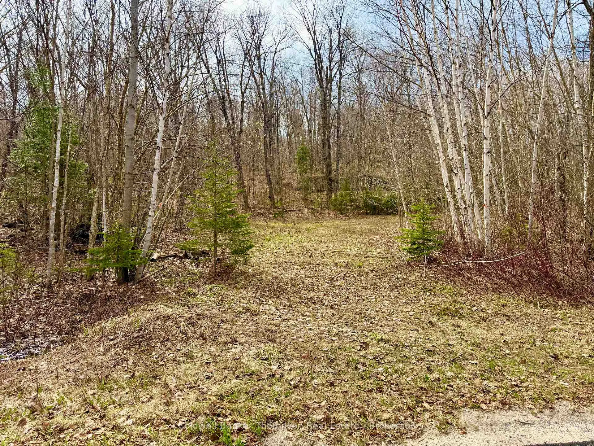 Photo of 0-A Maple Drive S