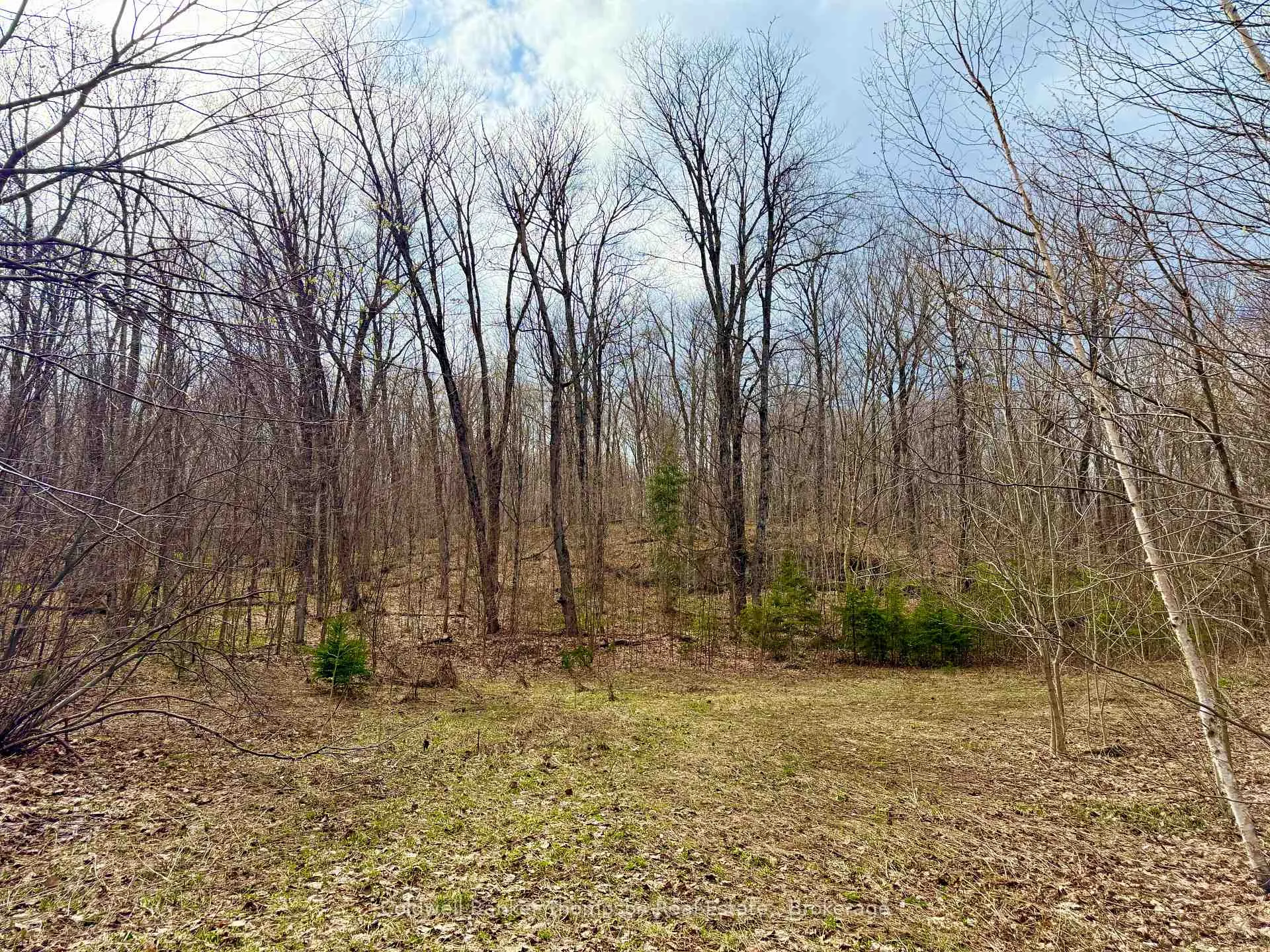 Photo 2 of 0-A Maple Drive S, Parry Sound Remote Area, Wilson — HOMEH