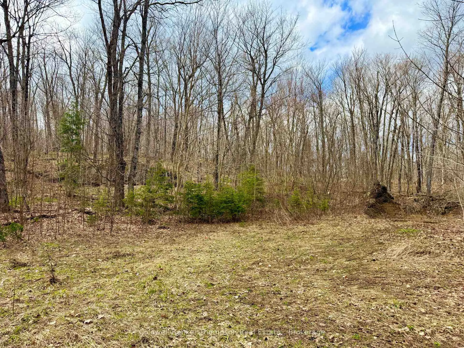 Photo 3 of 0-A Maple Drive S, Parry Sound Remote Area, Wilson — HOMEH