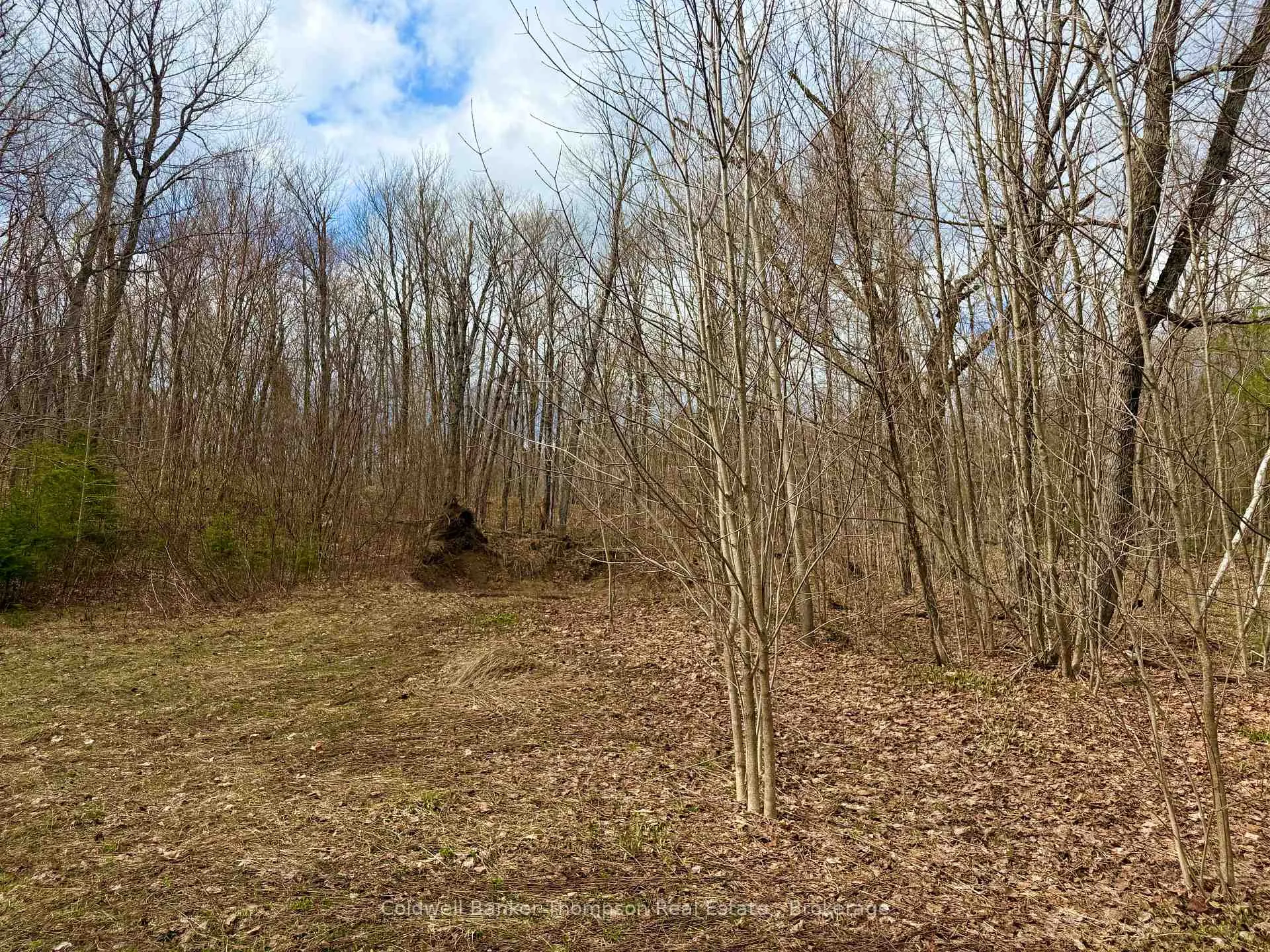 Photo 4 of 0-A Maple Drive S, Parry Sound Remote Area, Wilson — HOMEH