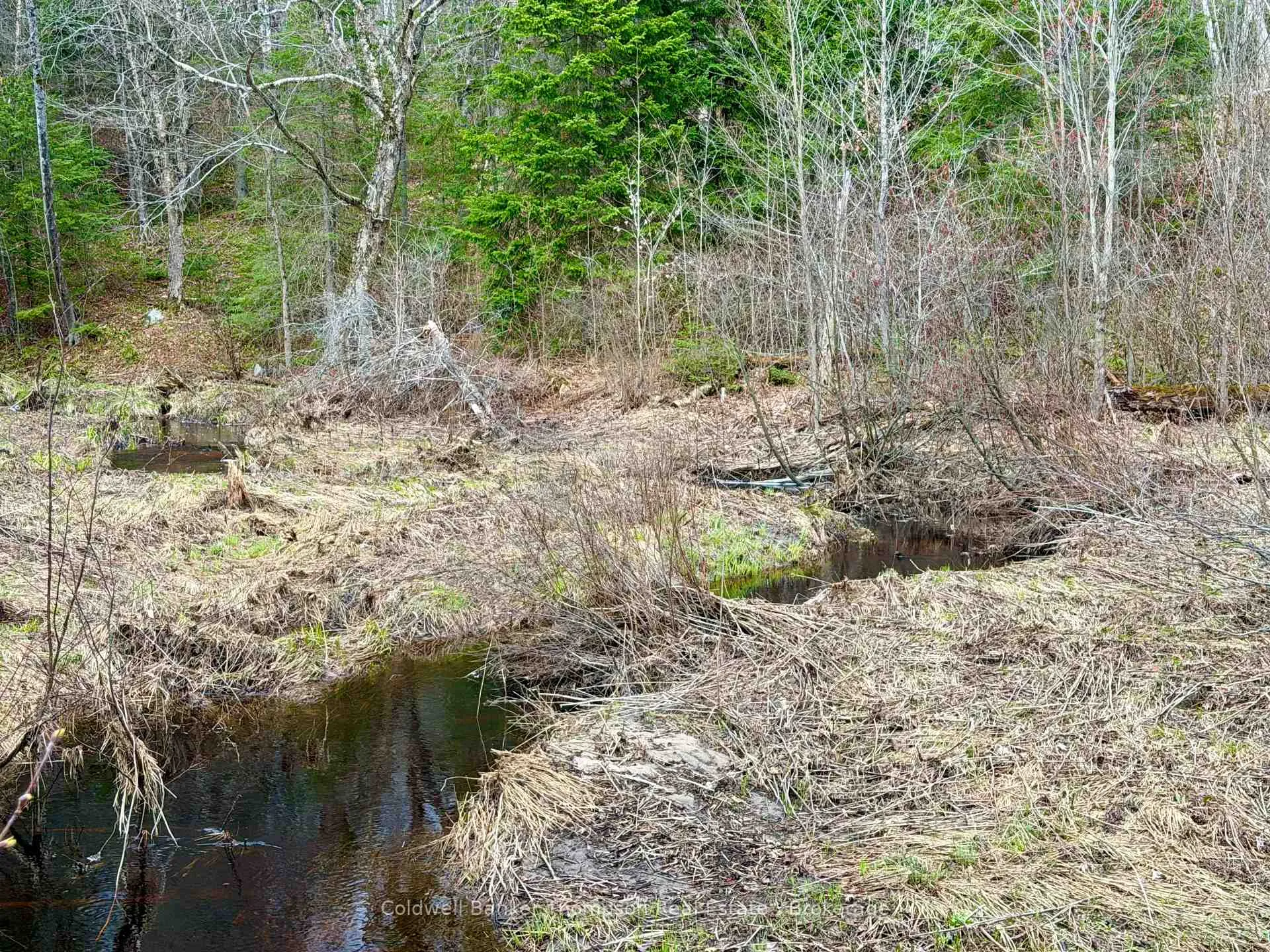 Photo 5 of 0-A Maple Drive S, Parry Sound Remote Area, Wilson — HOMEH