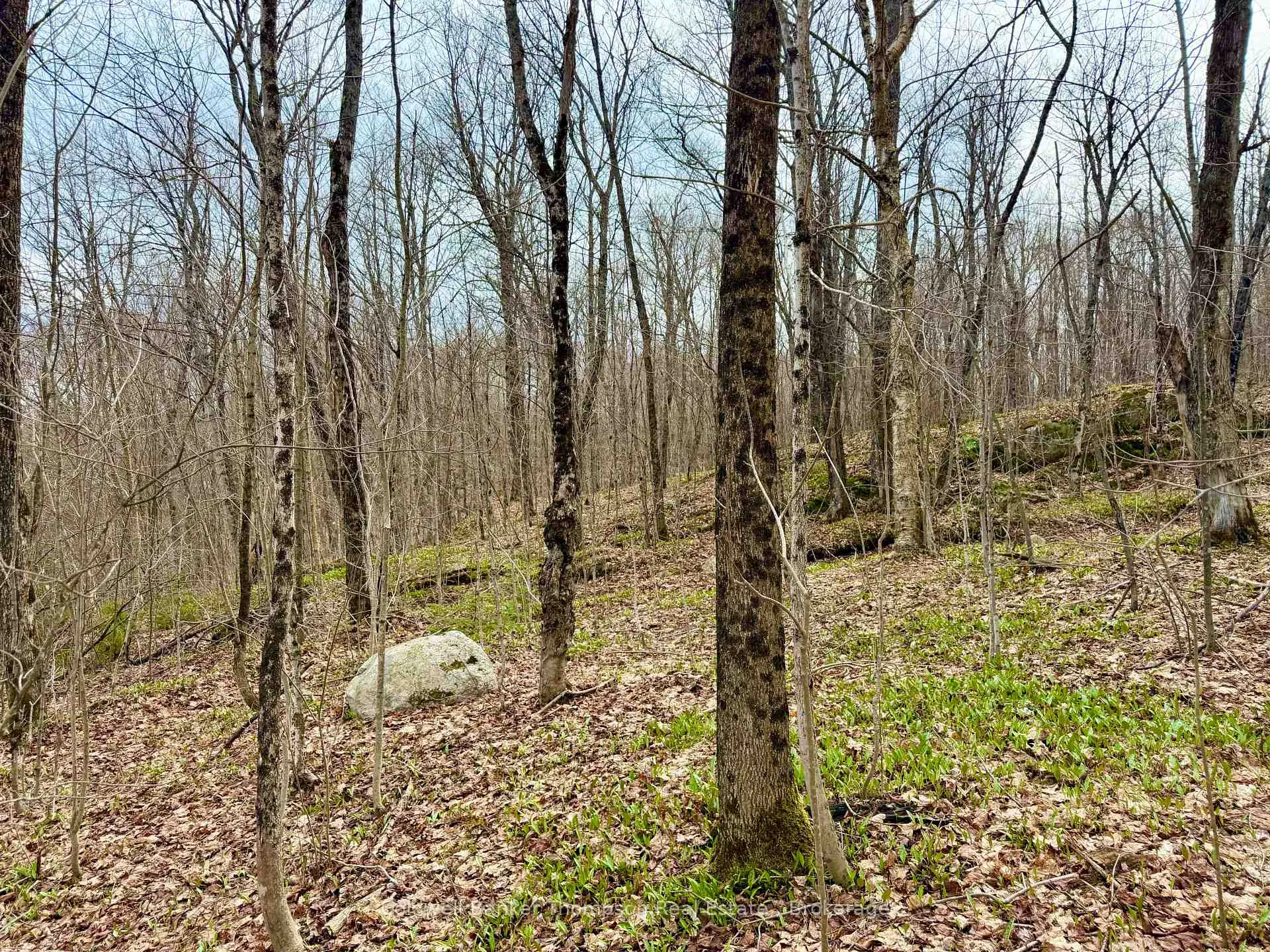 Photo 8 of 0-A Maple Drive S, Parry Sound Remote Area, Wilson — HOMEH