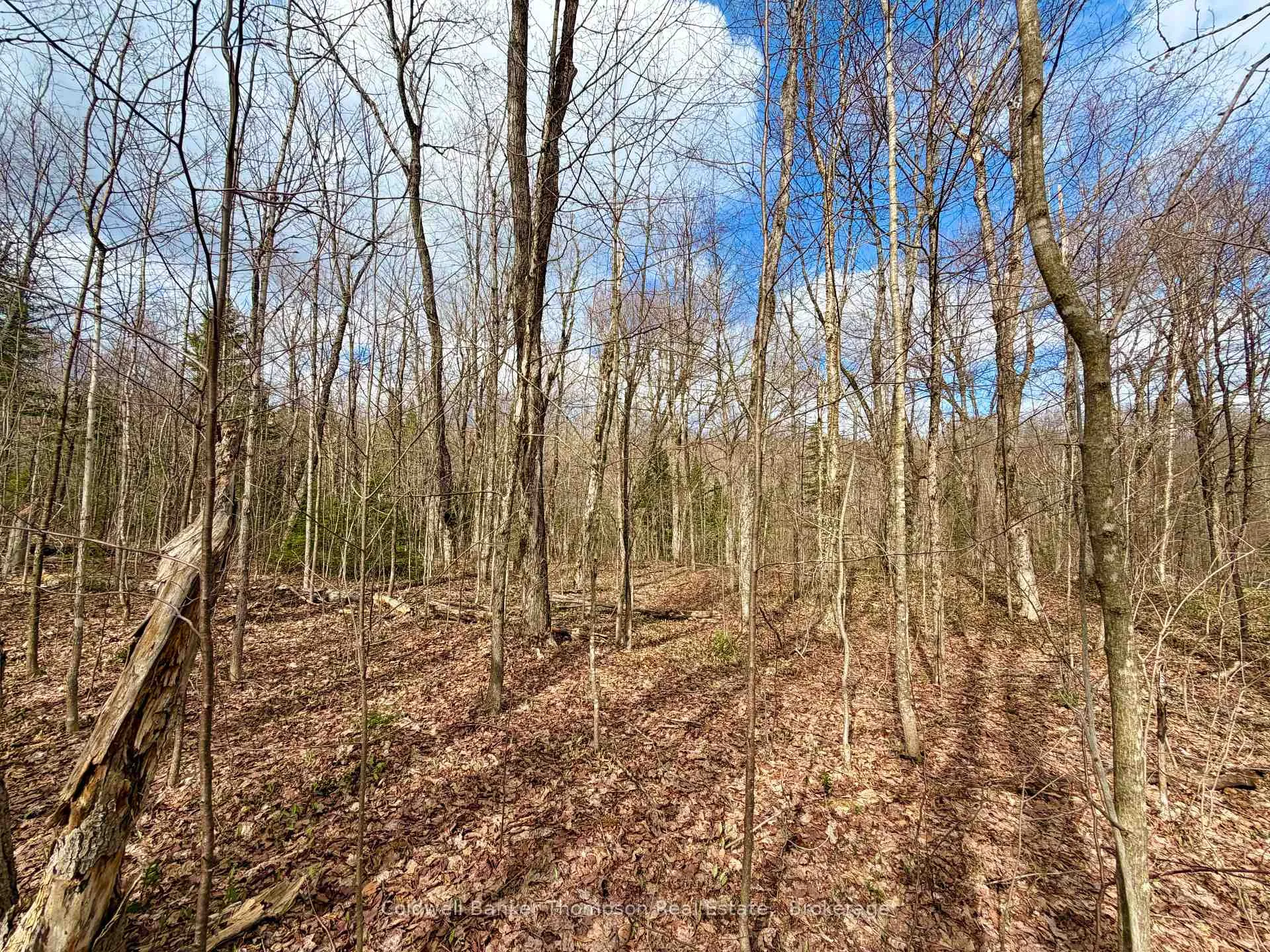 Photo 9 of 0-A Maple Drive S, Parry Sound Remote Area, Wilson — HOMEH