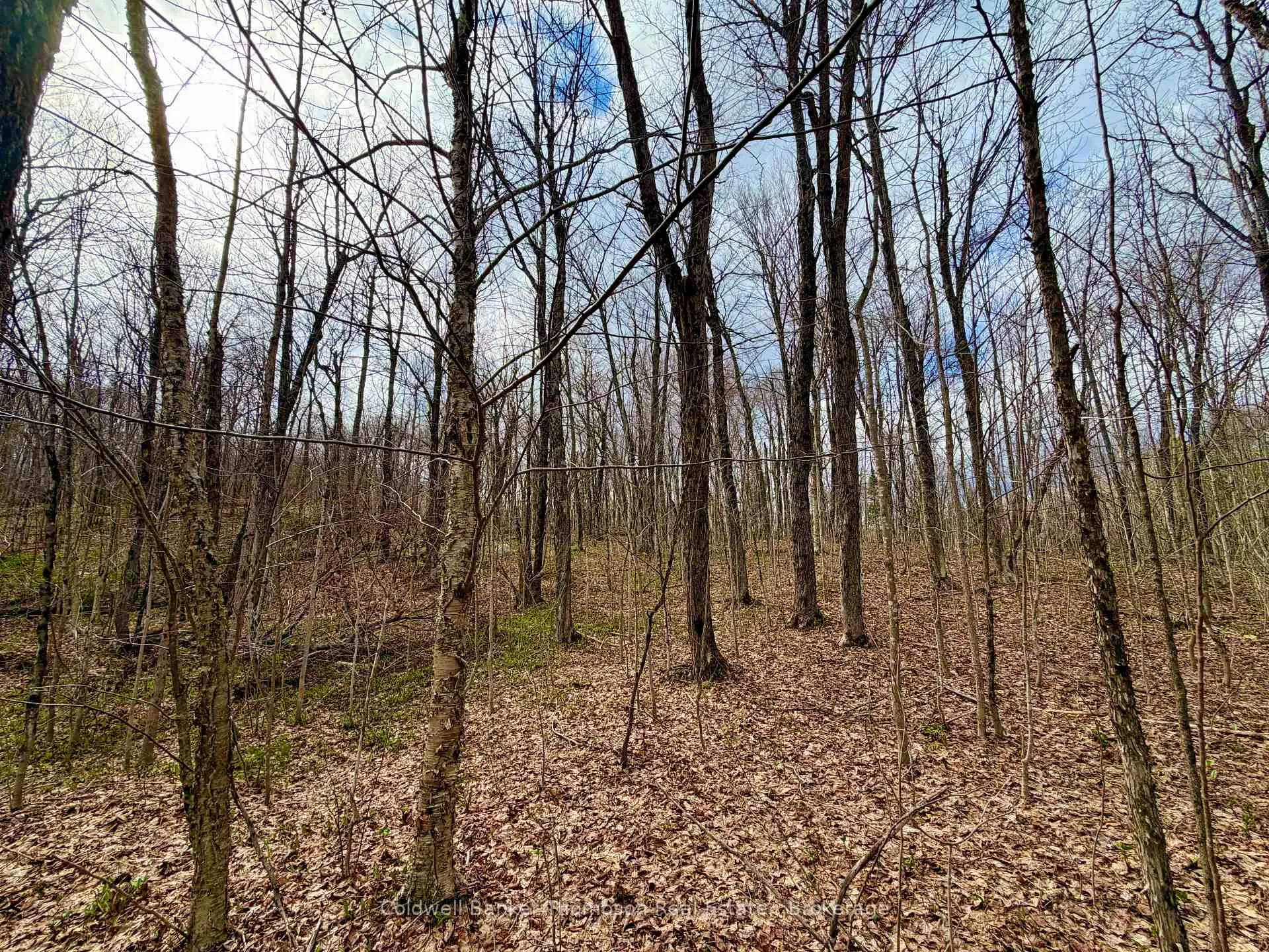 Photo 10 of 0-A Maple Drive S, Parry Sound Remote Area, Wilson — HOMEH