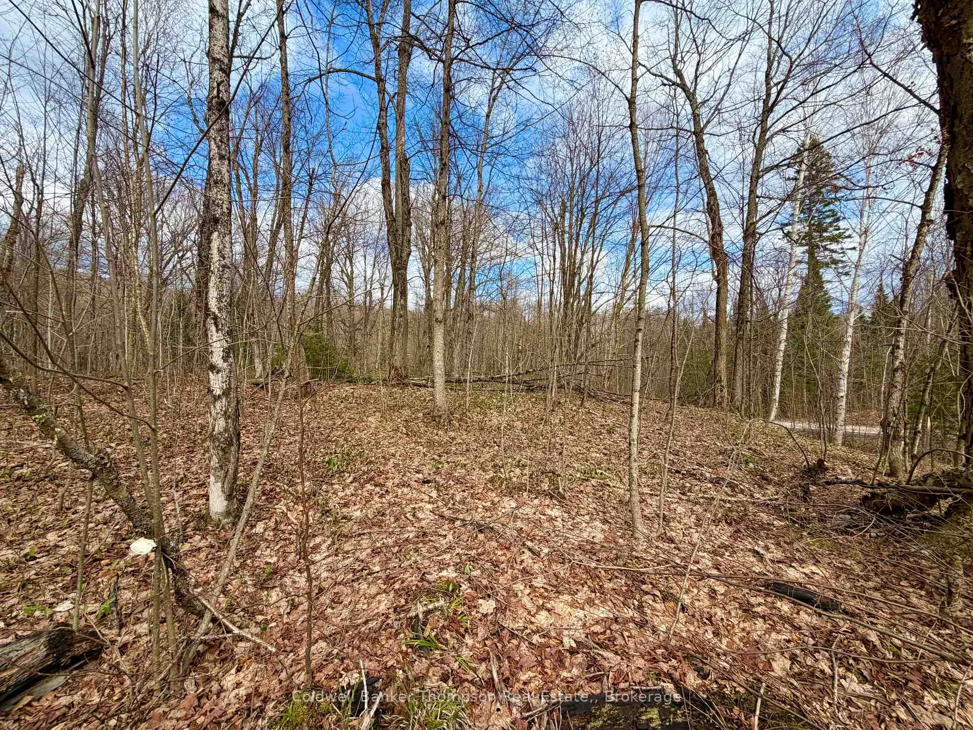 Photo 11 of 0-A Maple Drive S, Parry Sound Remote Area, Wilson — HOMEH